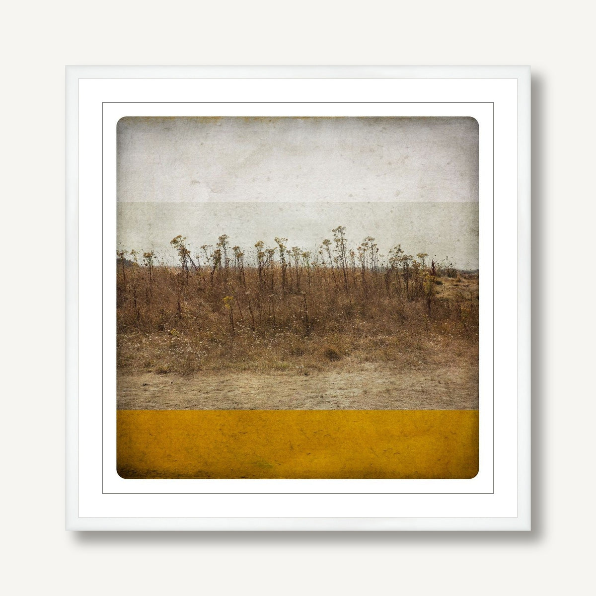 Ocre 1 framed