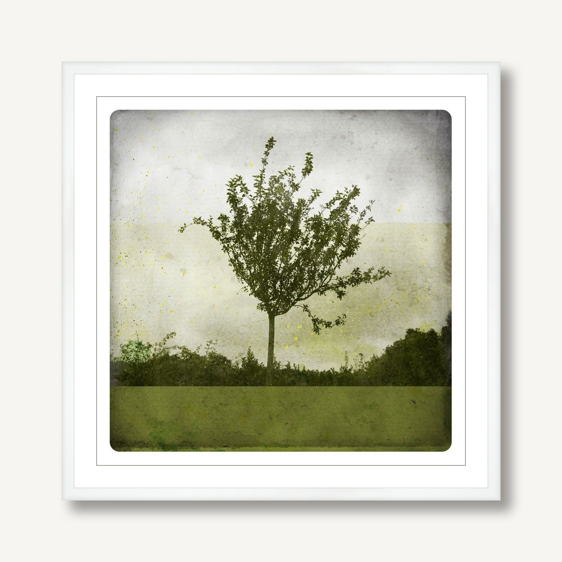 Verdure 1 framed