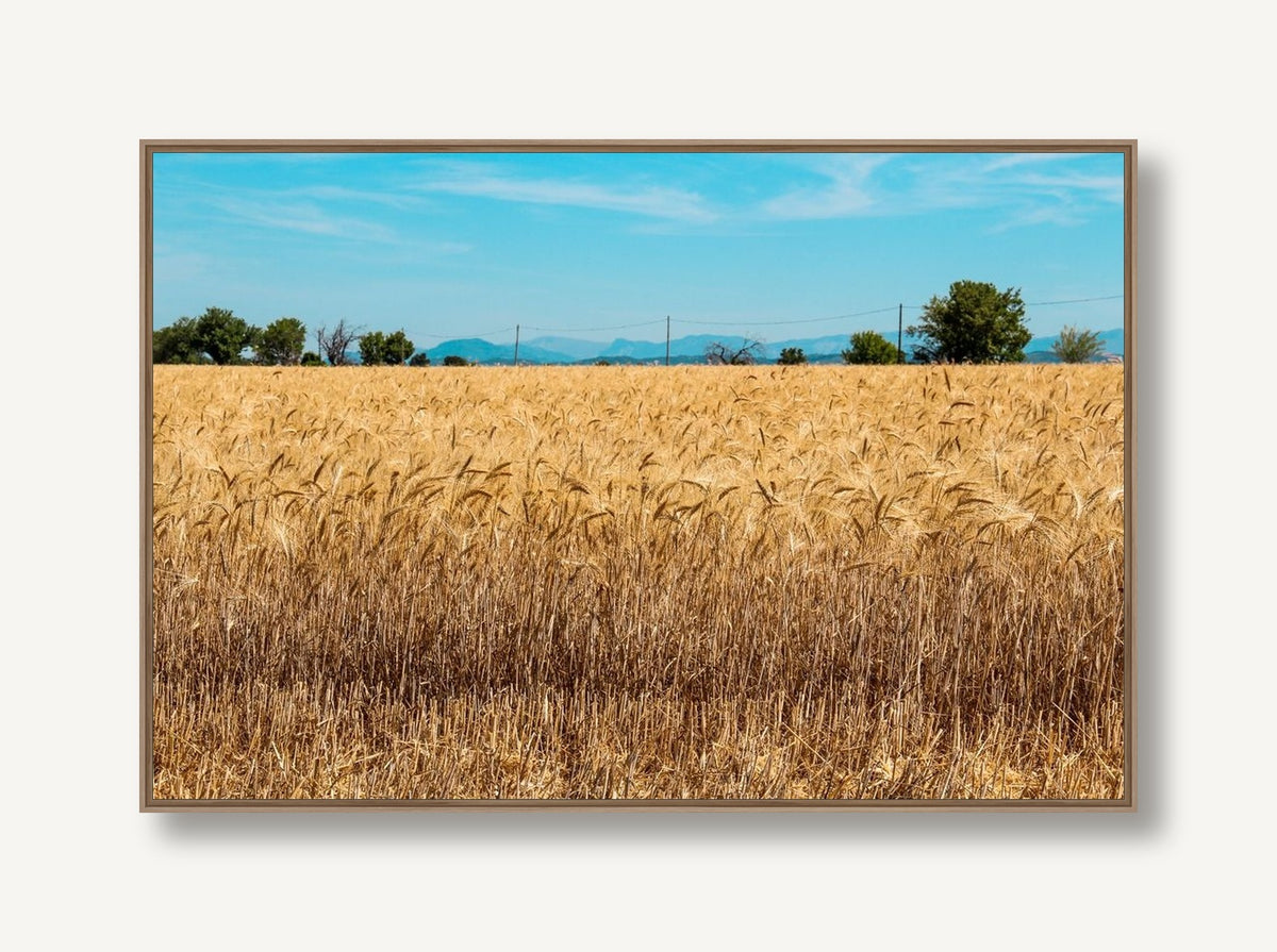 Land of the Free 2 framed