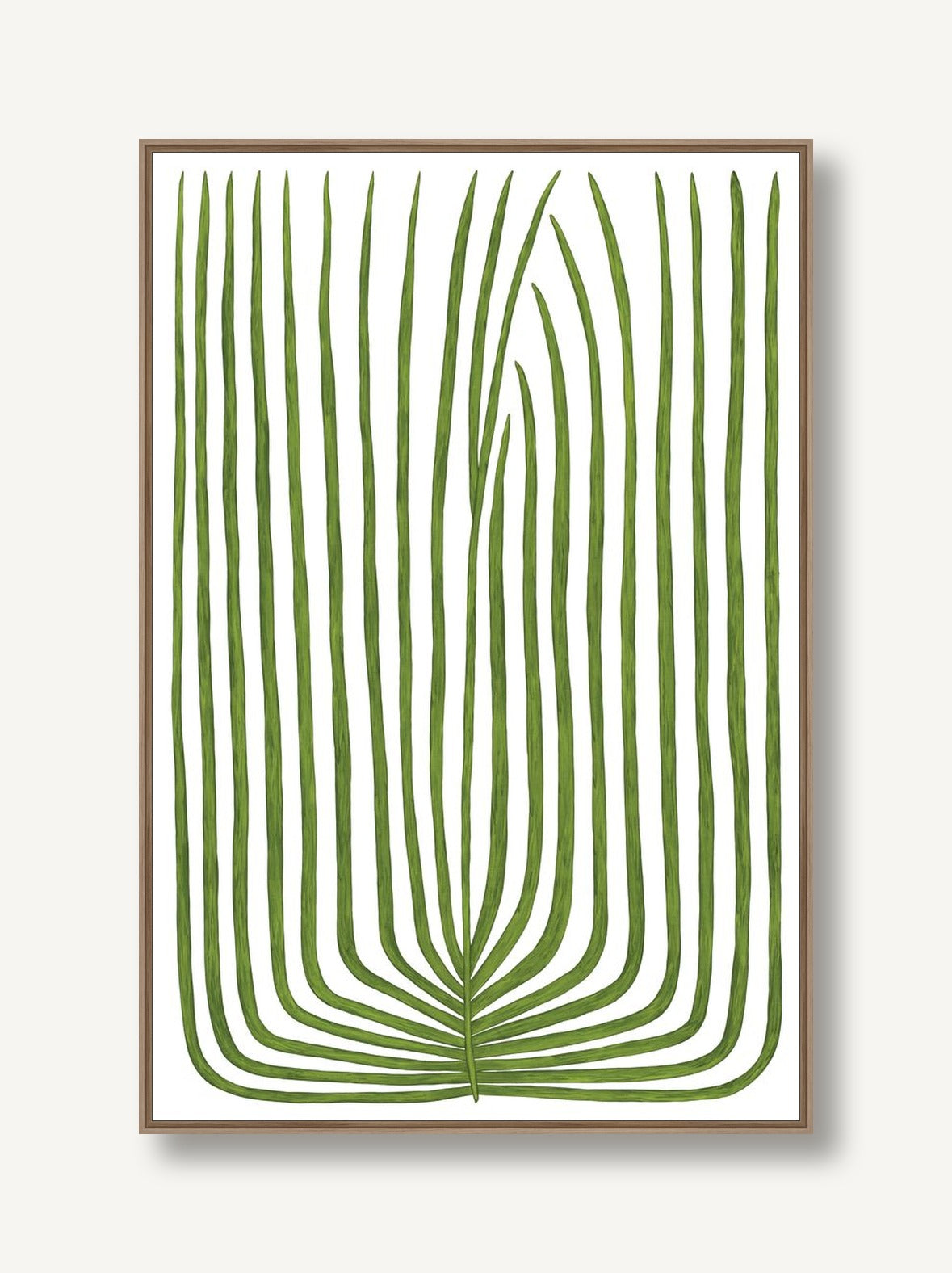 Botanicus Undecim 1 framed