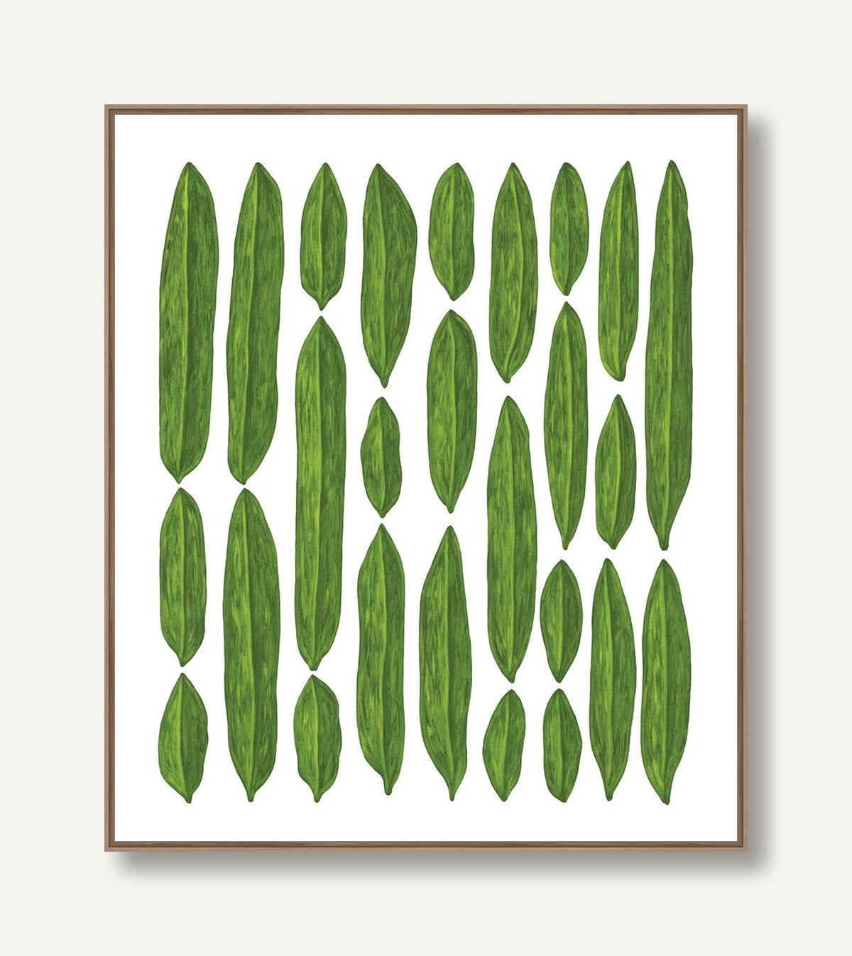 Botanicus Septendecim 1 framed