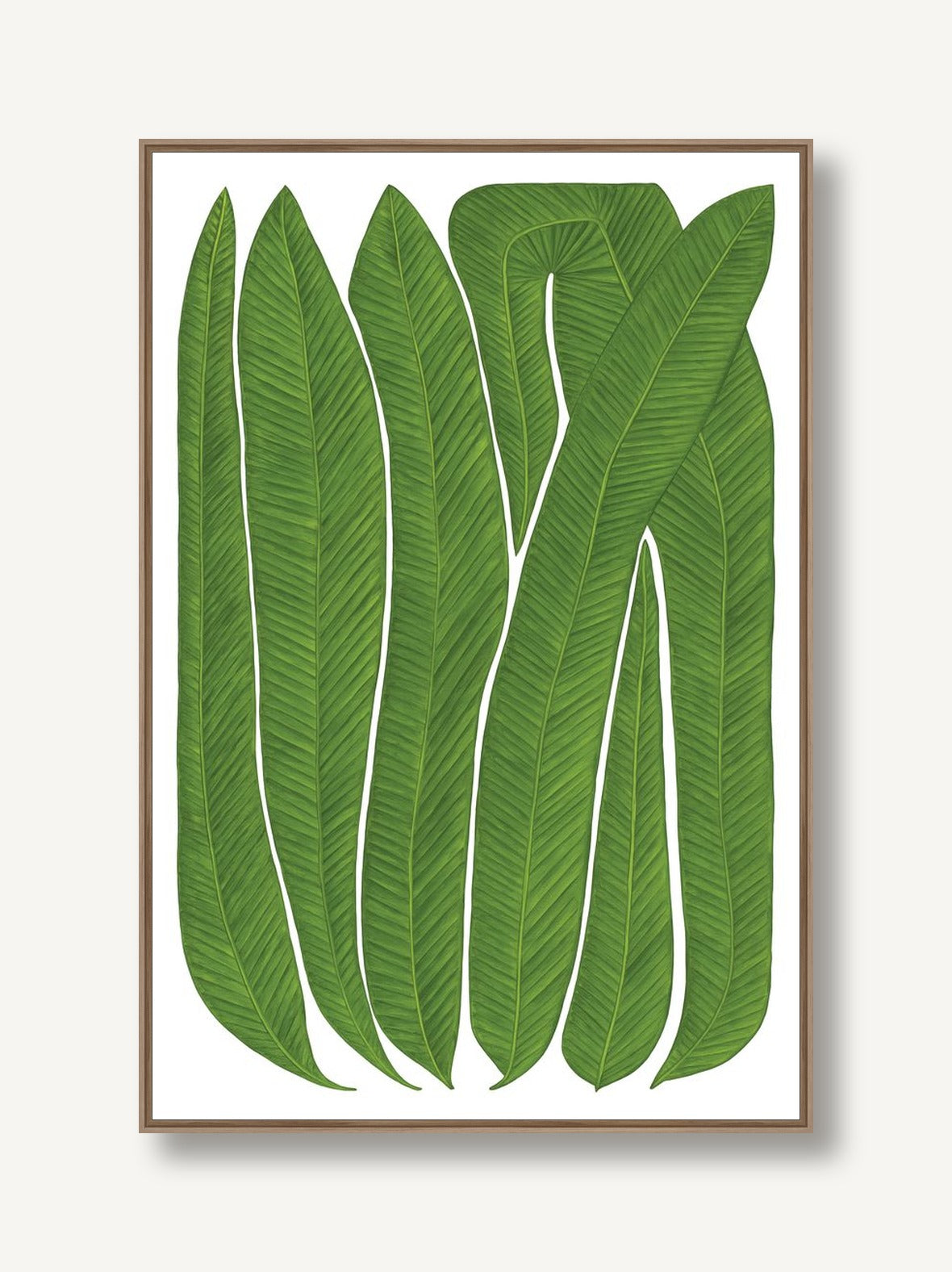 Botanicus Teneo 1 framed