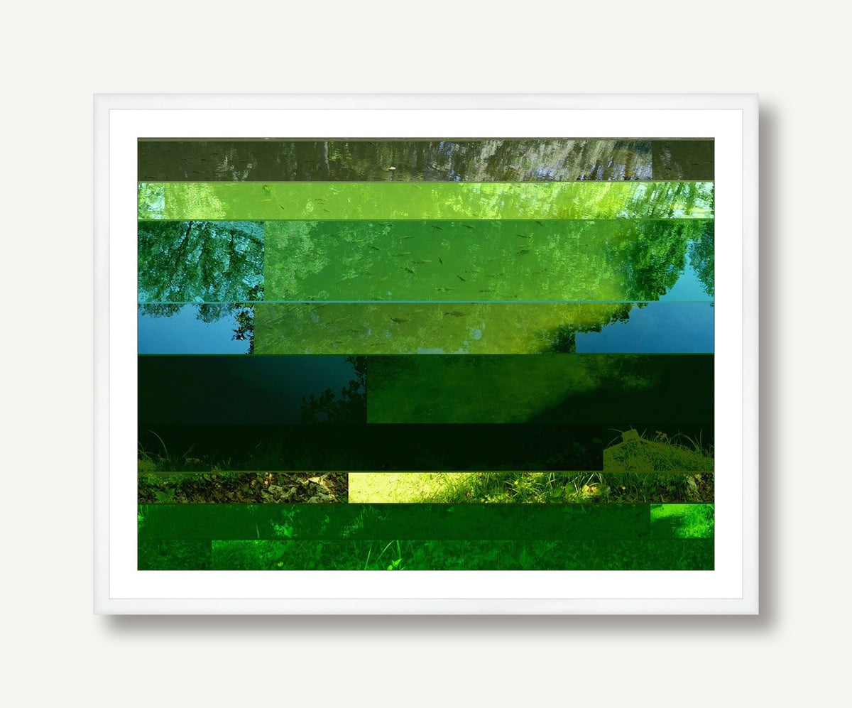 Pond Paradise 2 framed
