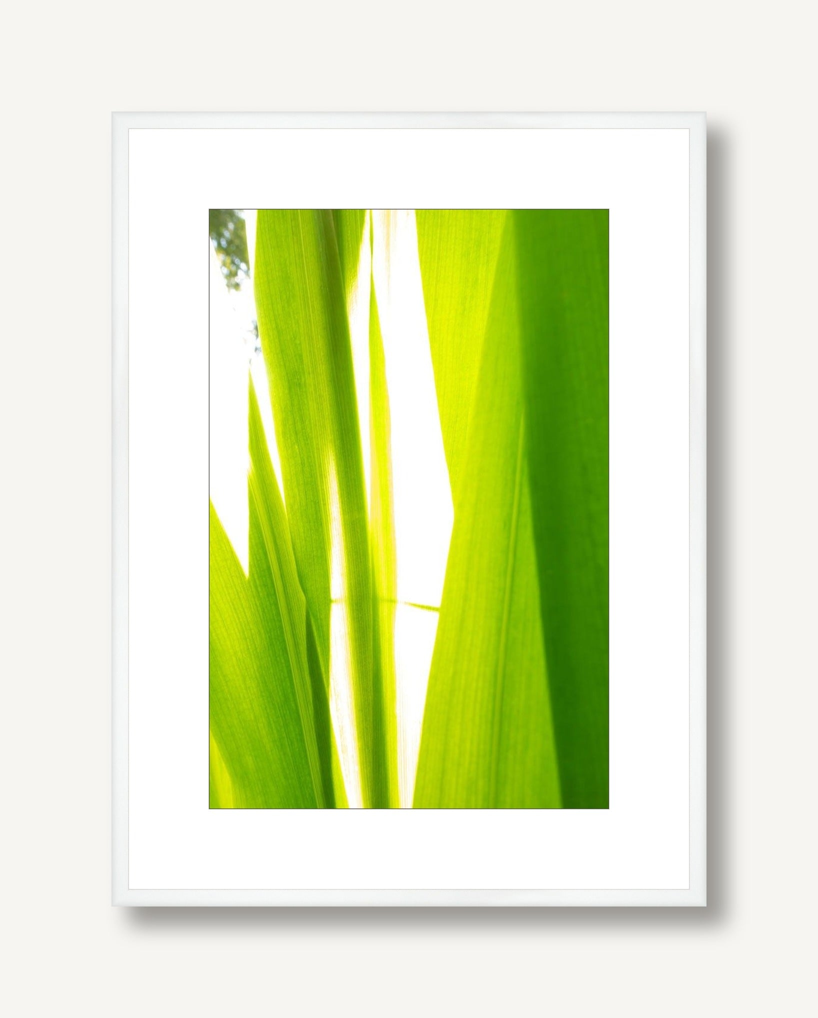 Sunkissed 2 framed