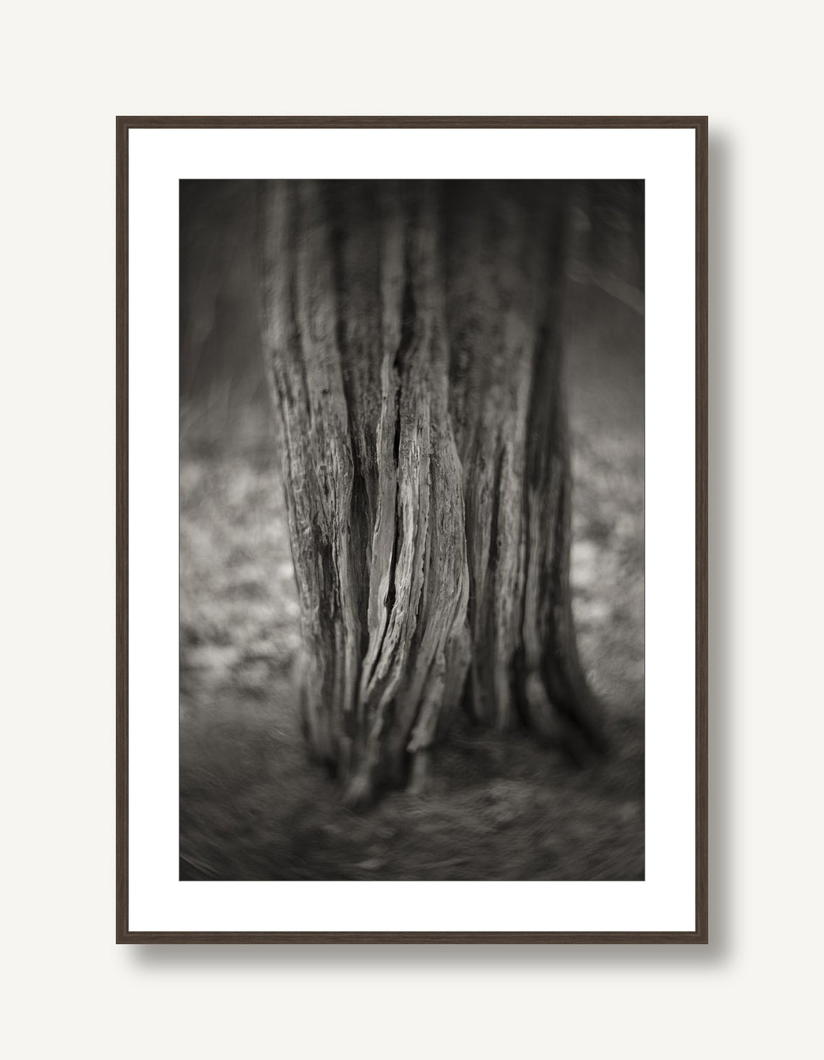 My Kingdom 2 framed