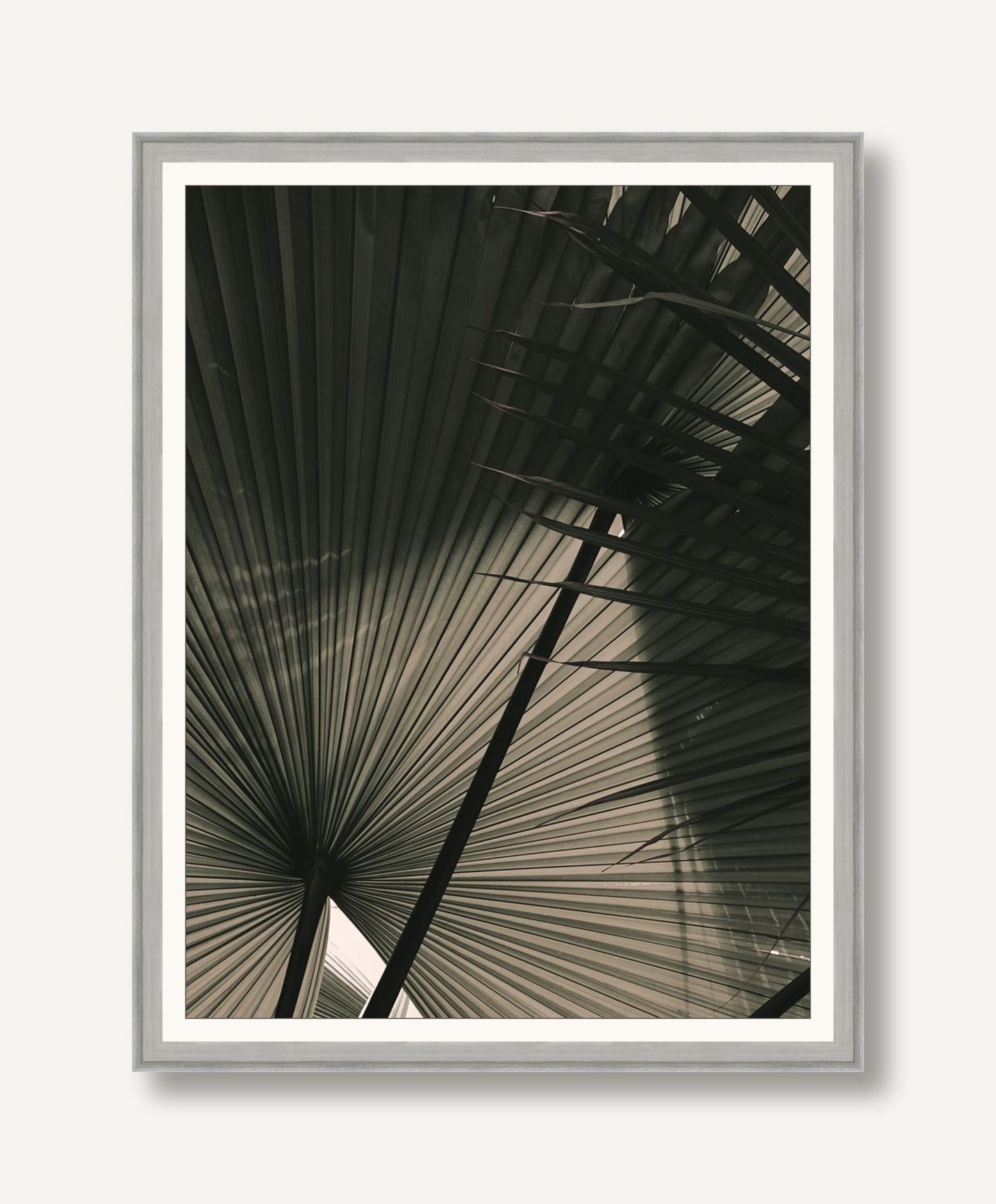 In the Shade 2 framed