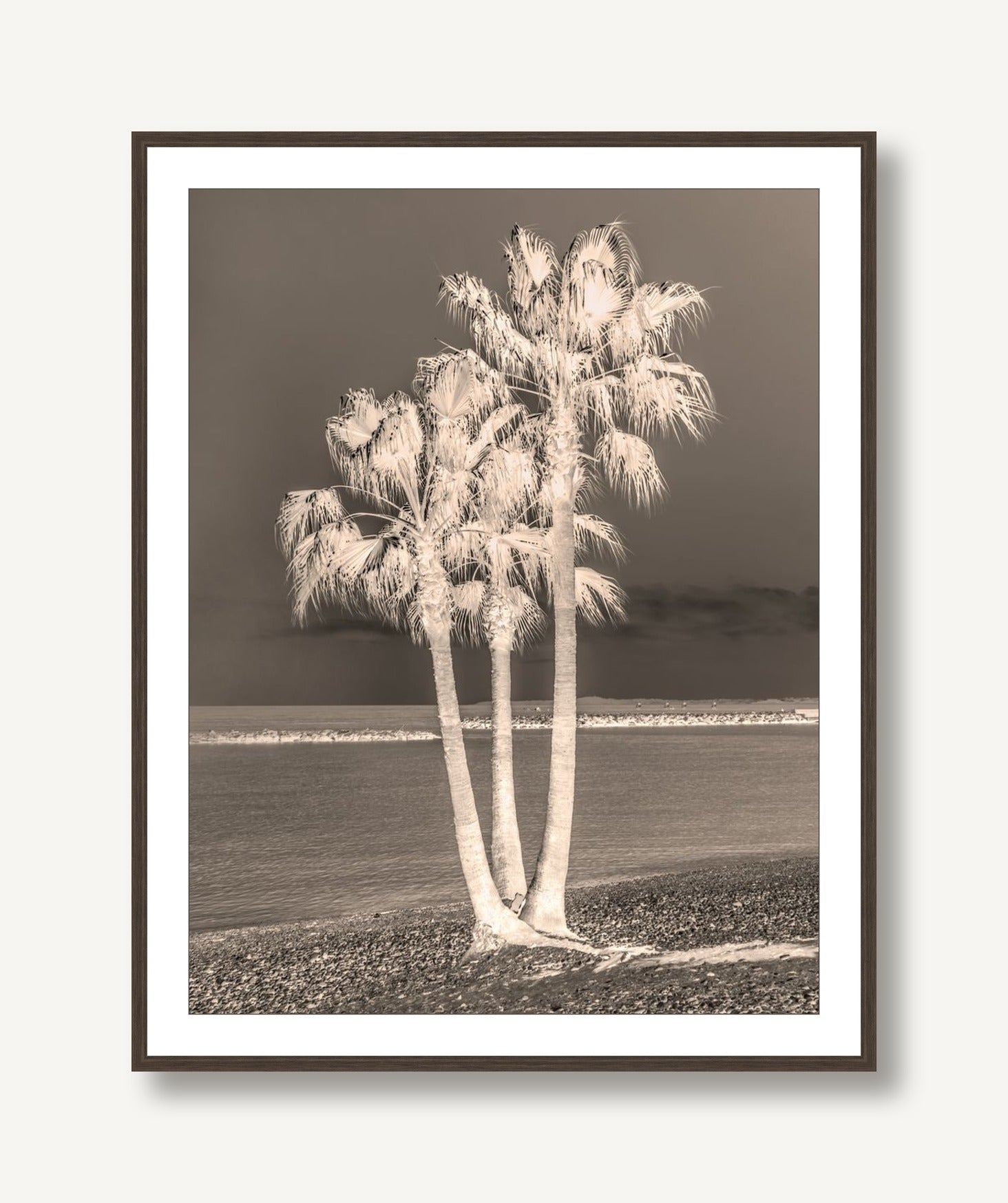 Palms 1 framed