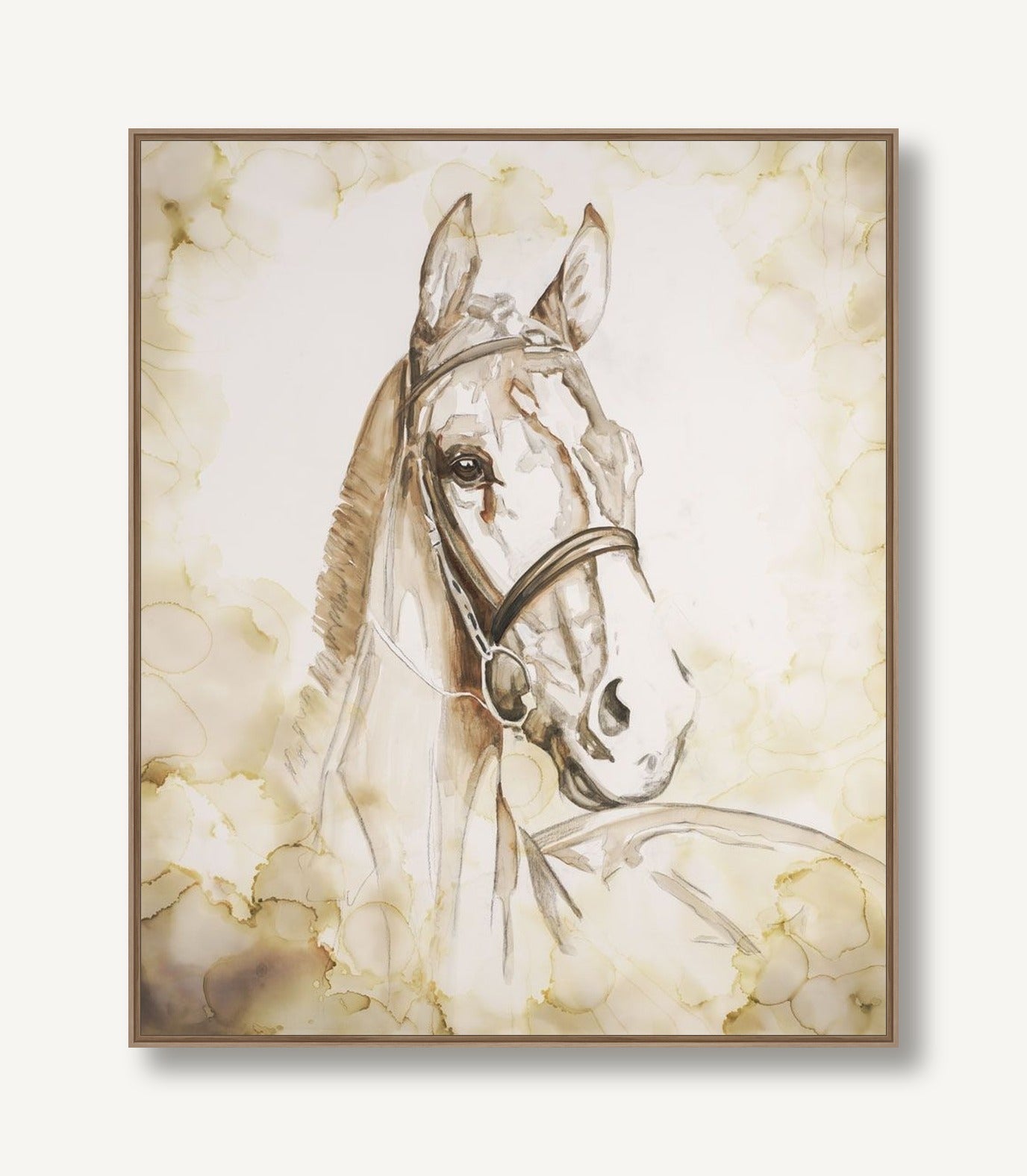 Spirit 1 framed