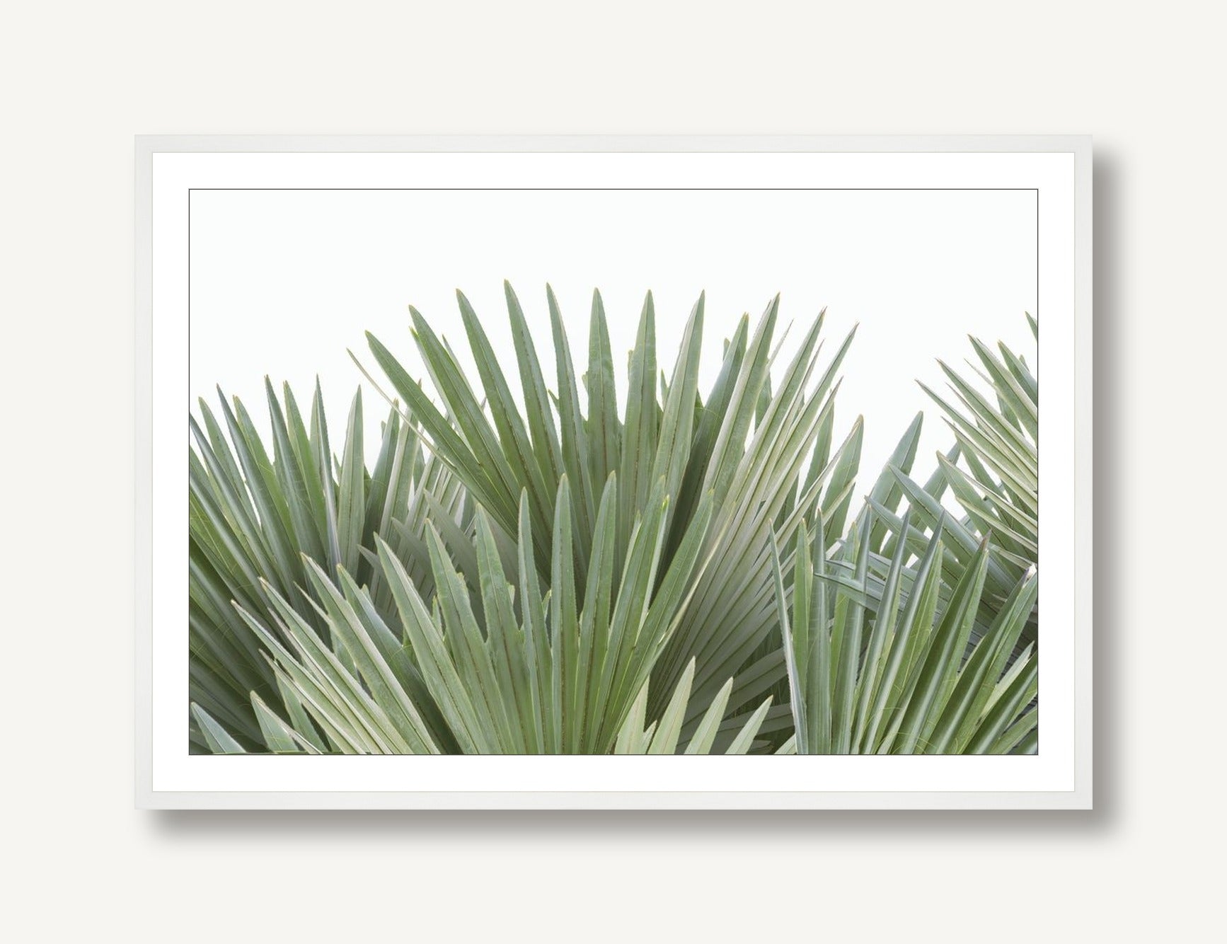 Tropical Leaves 6 framed