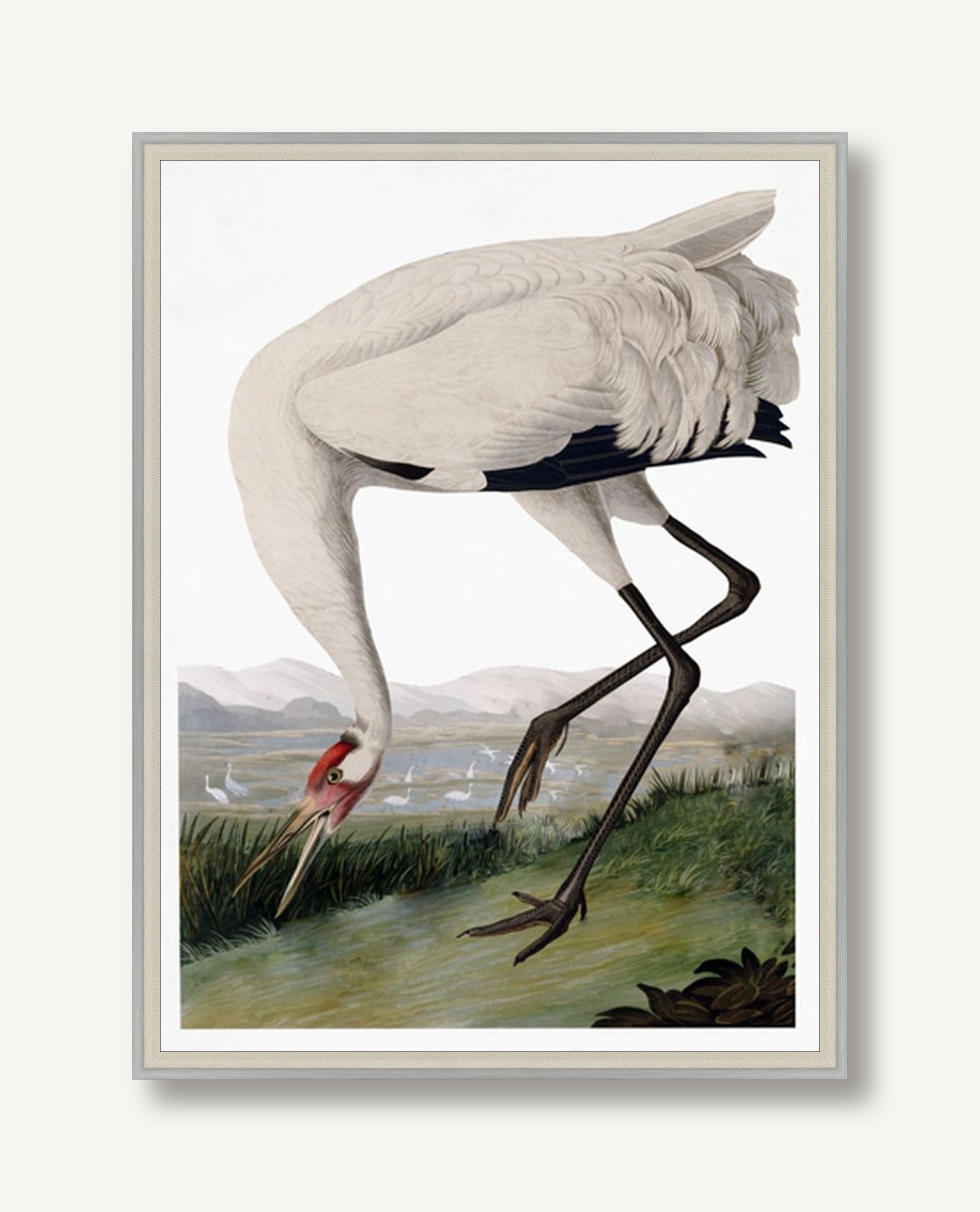 Audubon Heritage 2 framed