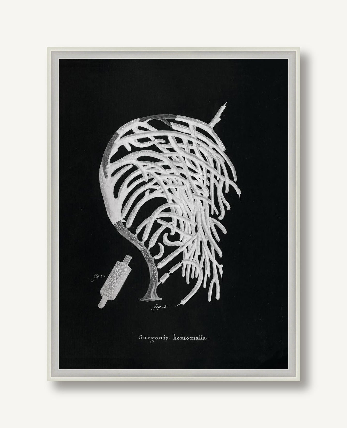 Briny Deep 2 framed