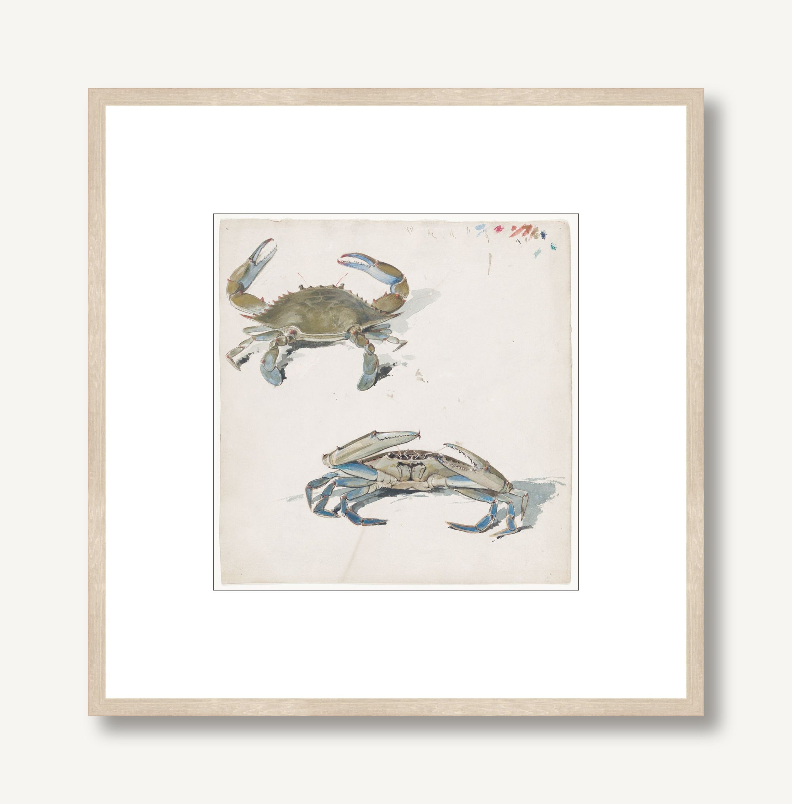 Blue Crab Shuffle 1 framed