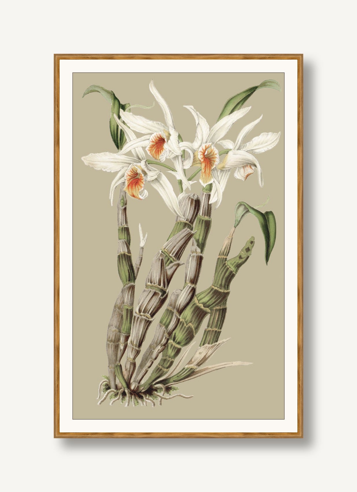 Botanical Jungle 1 framed