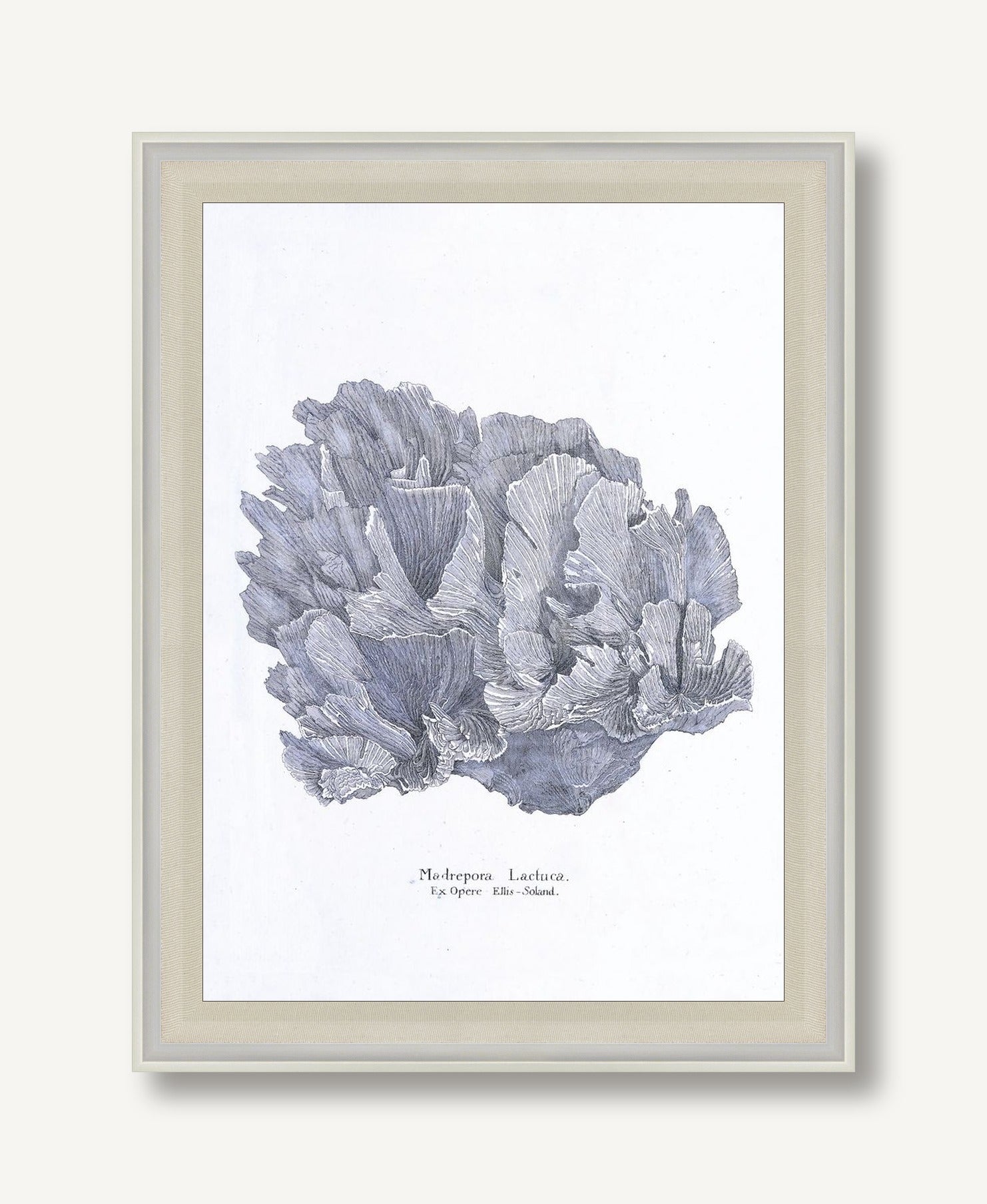 Cultivated Antiquity 1 framed