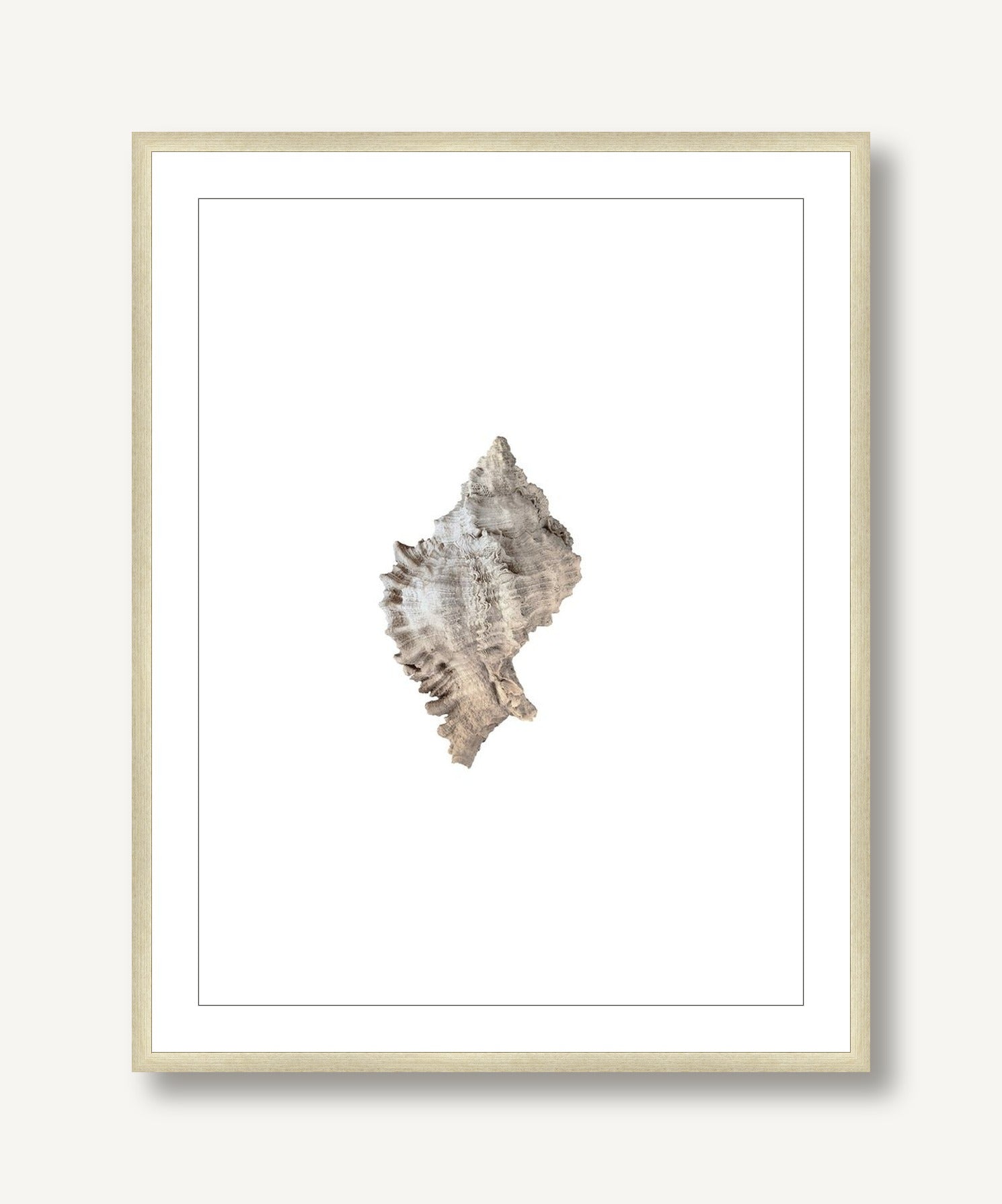 Evergladensis 1 framed