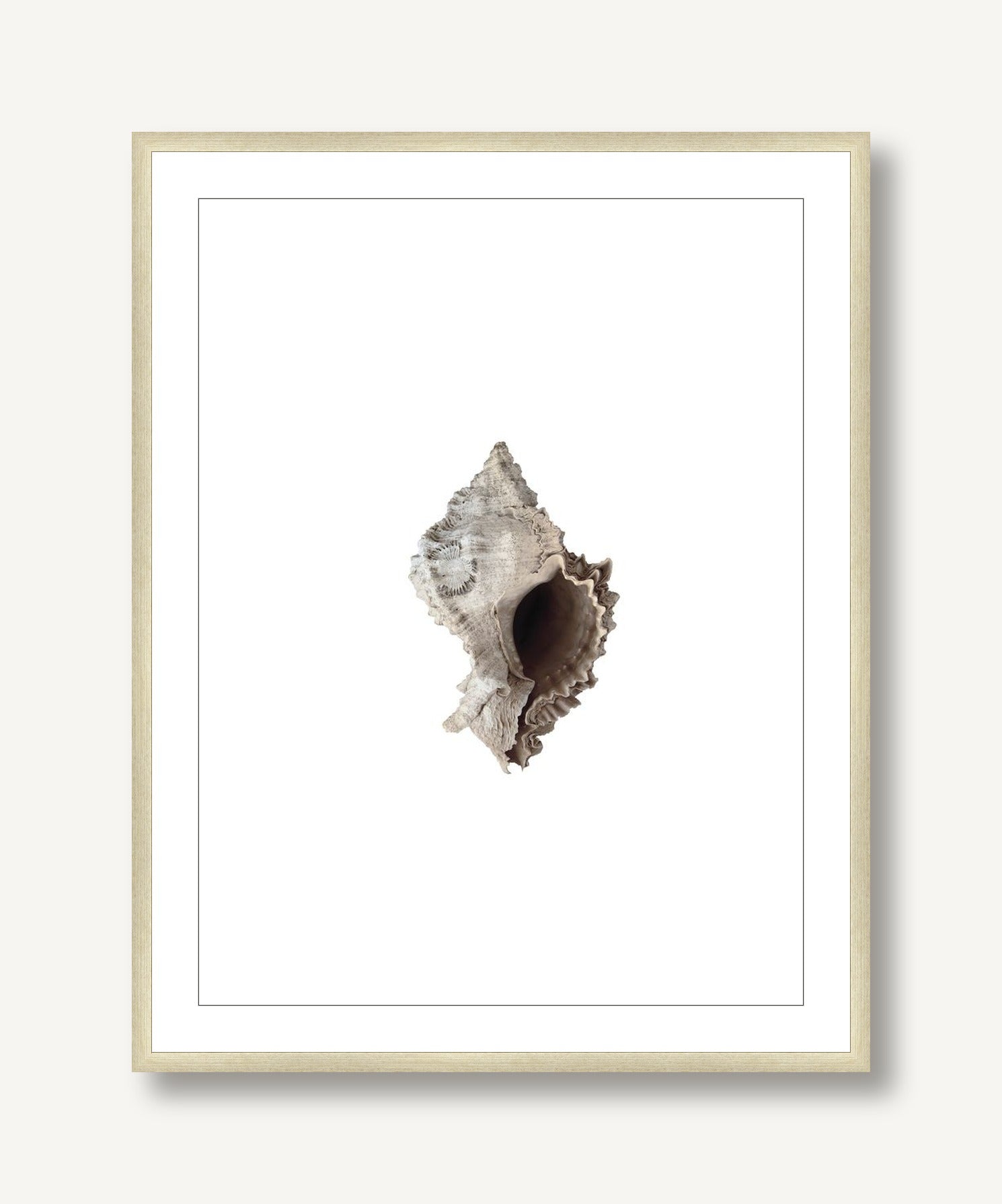 Evergladensis 3 framed
