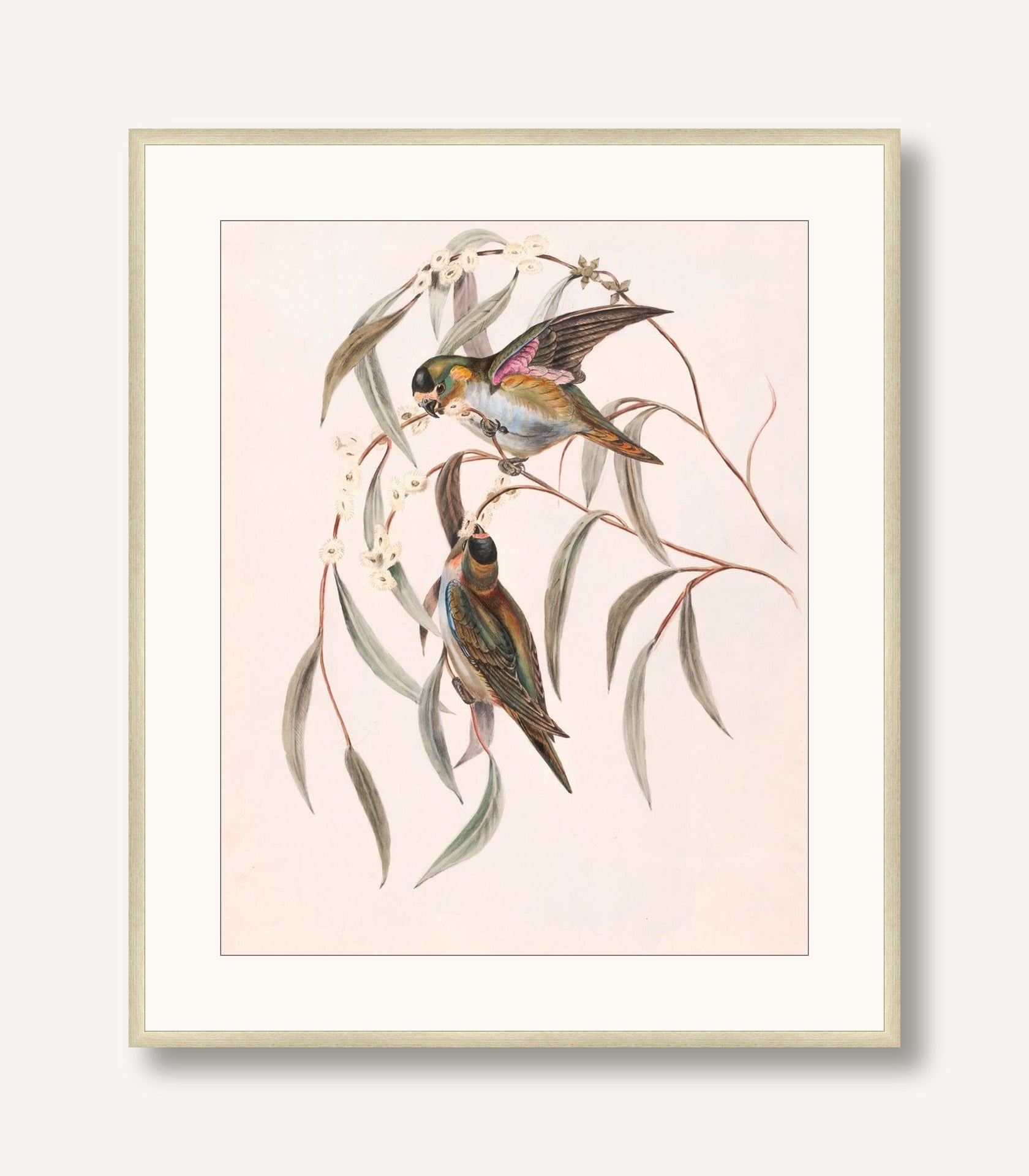 Feathered Friends 1 framed