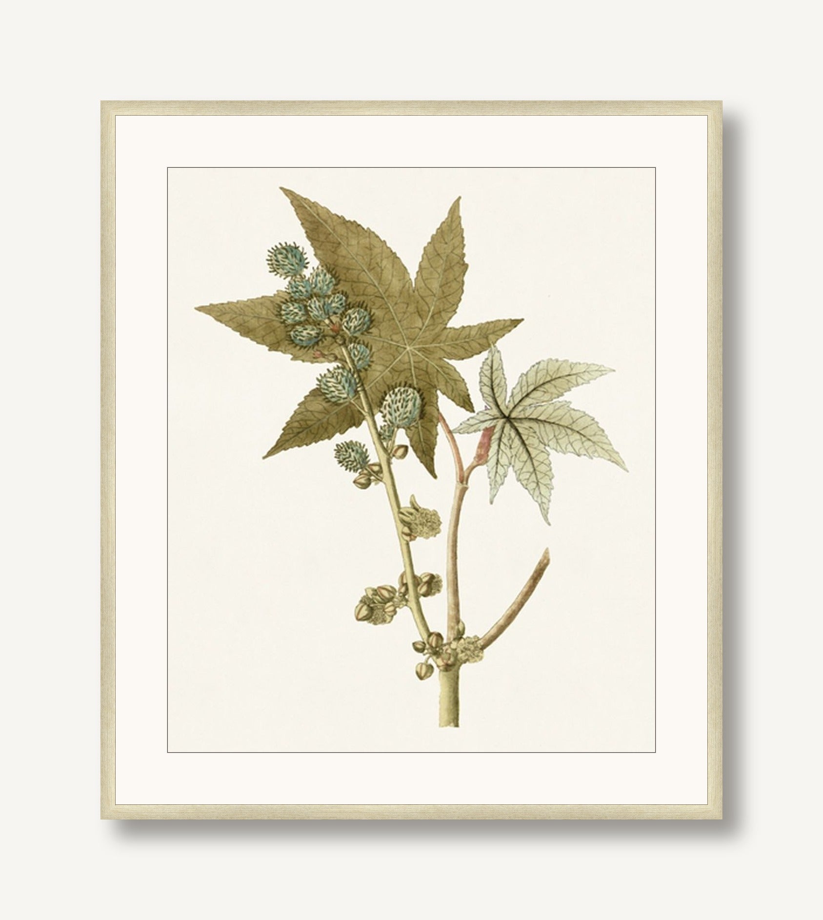 Garden Treasures 2 framed