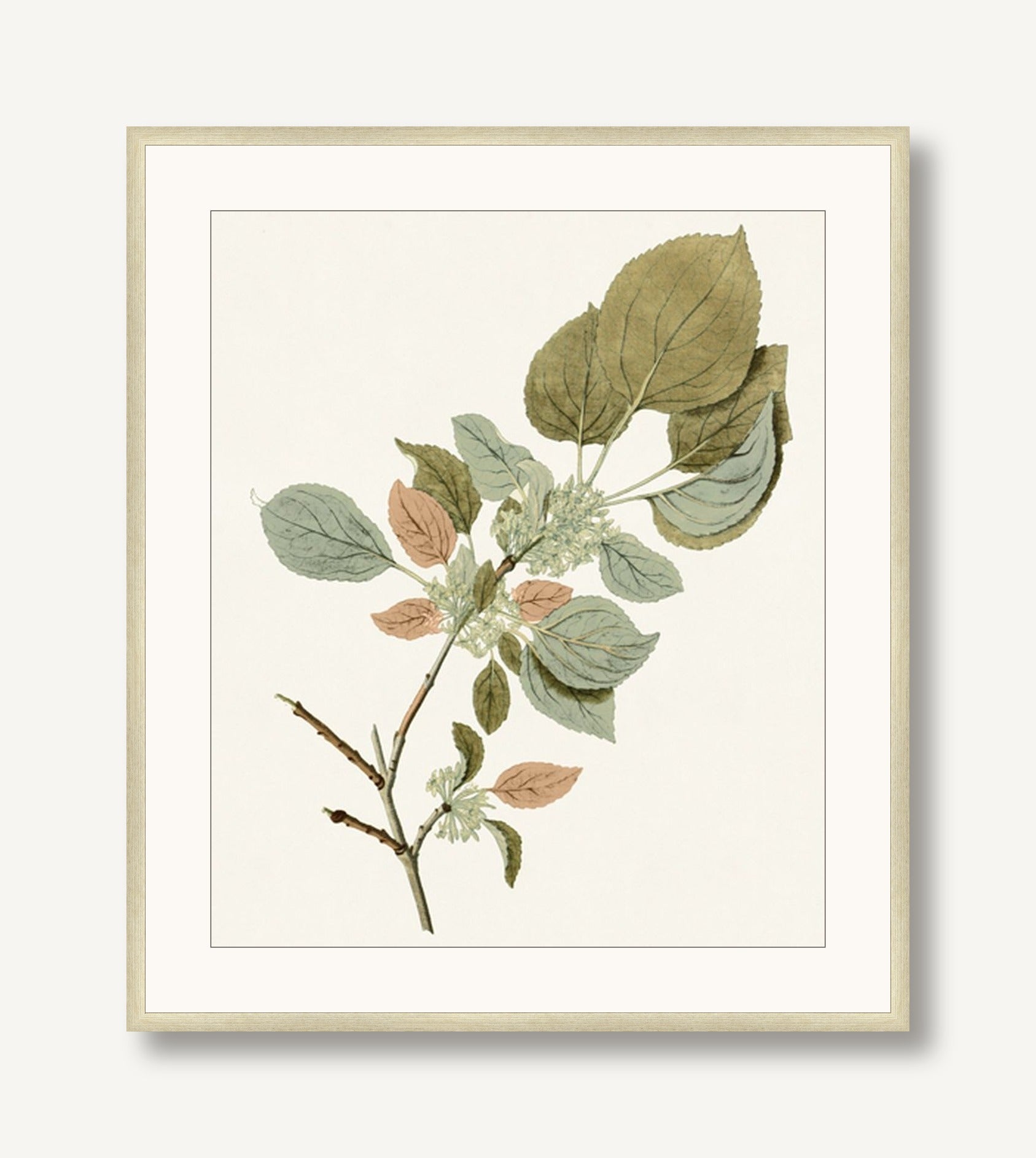 Garden Treasures 6 framed