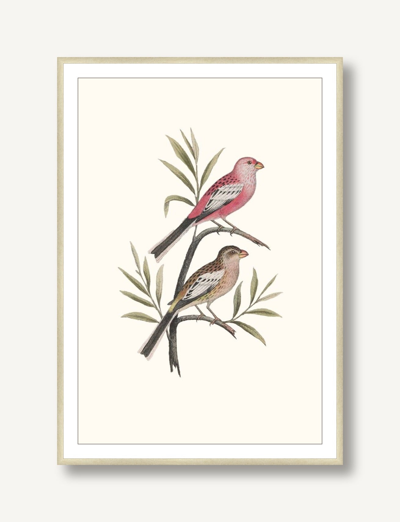 Nesting Navigators Ivory 4 framed