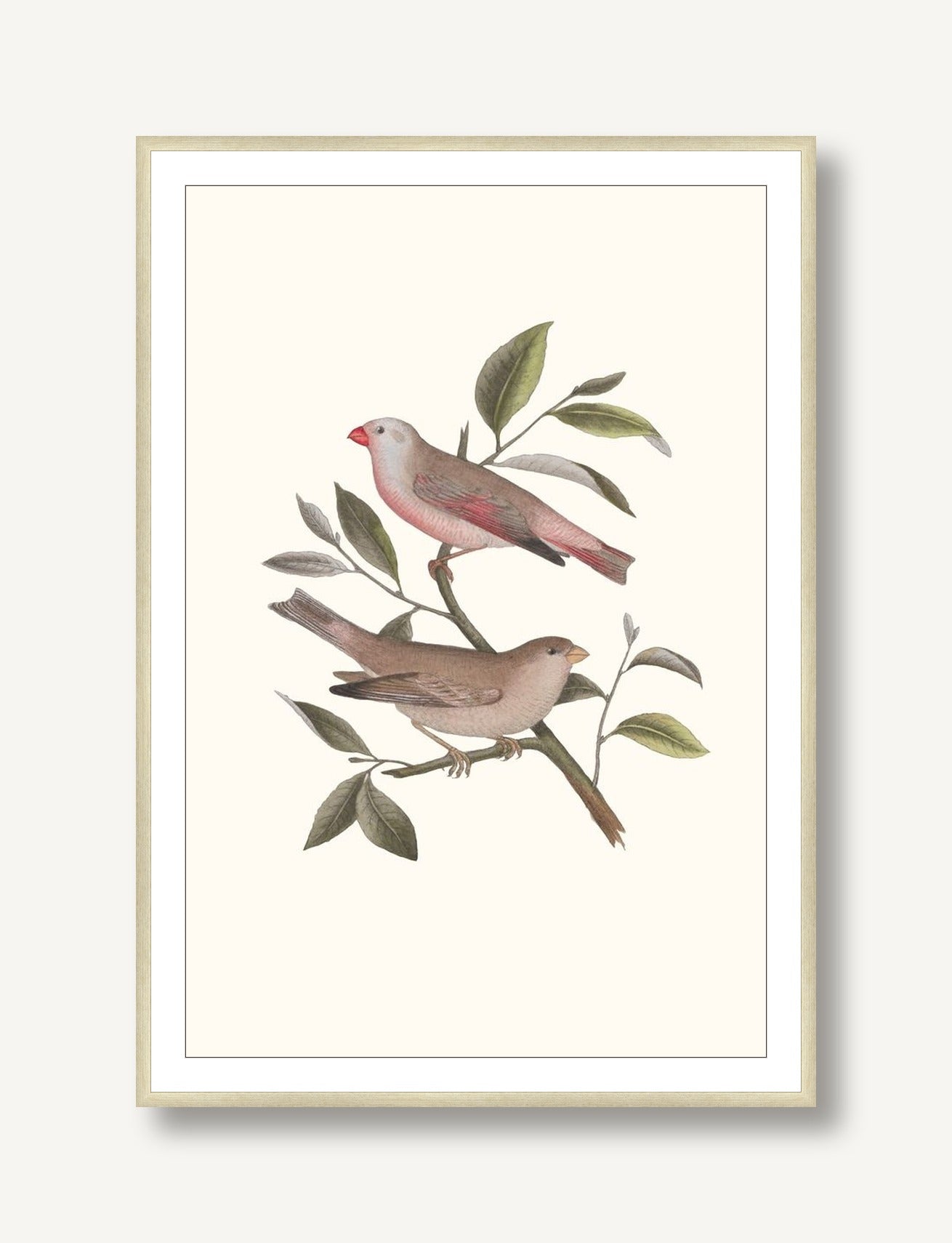 Nesting Navigators Ivory 6 framed