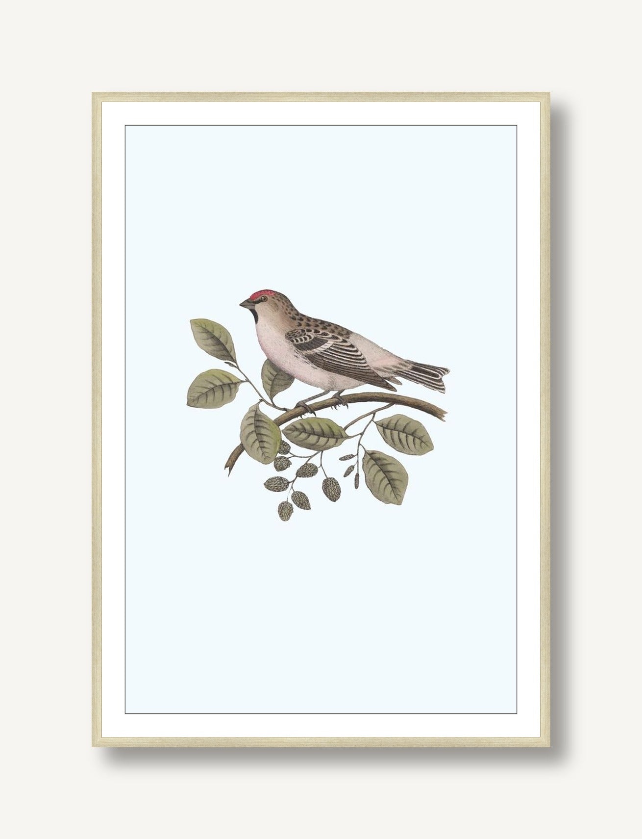 Nesting Navigators Blue 1 framed