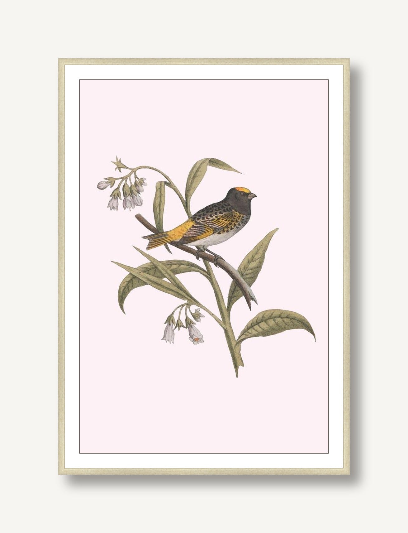 Nesting Navigators Pink 5 framed