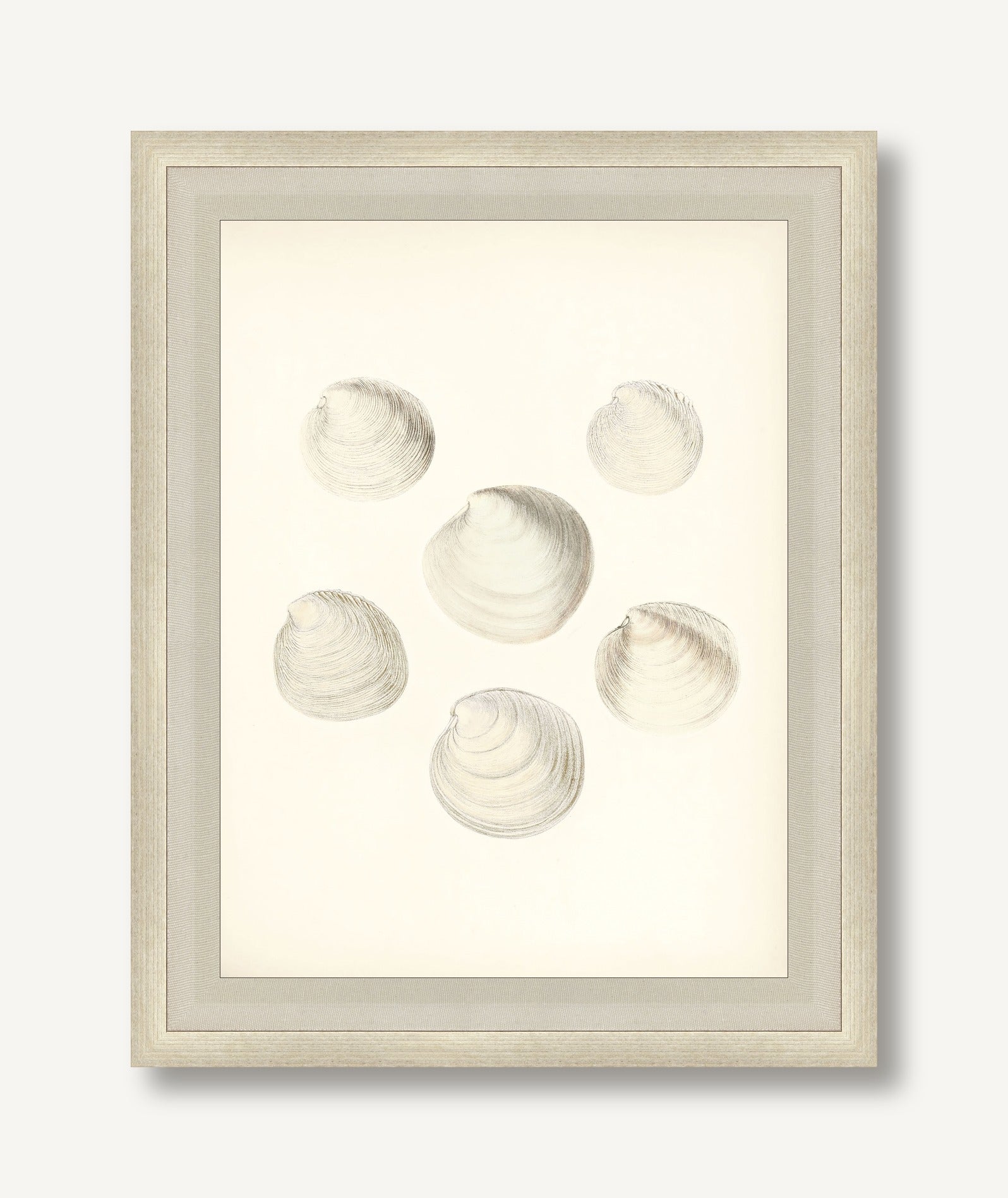 Sea Trinkets 1 framed