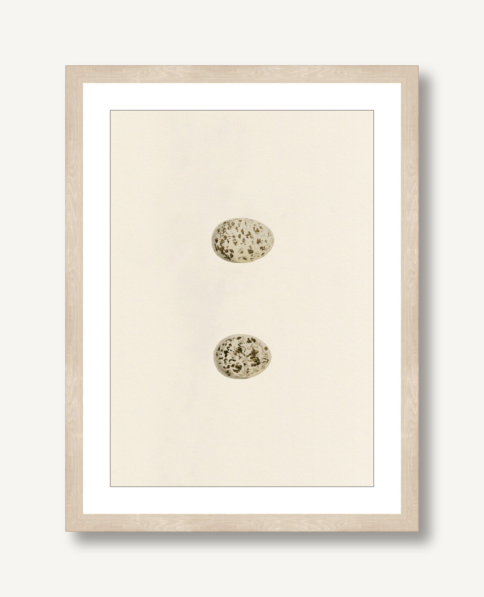 Unhatched 4 framed