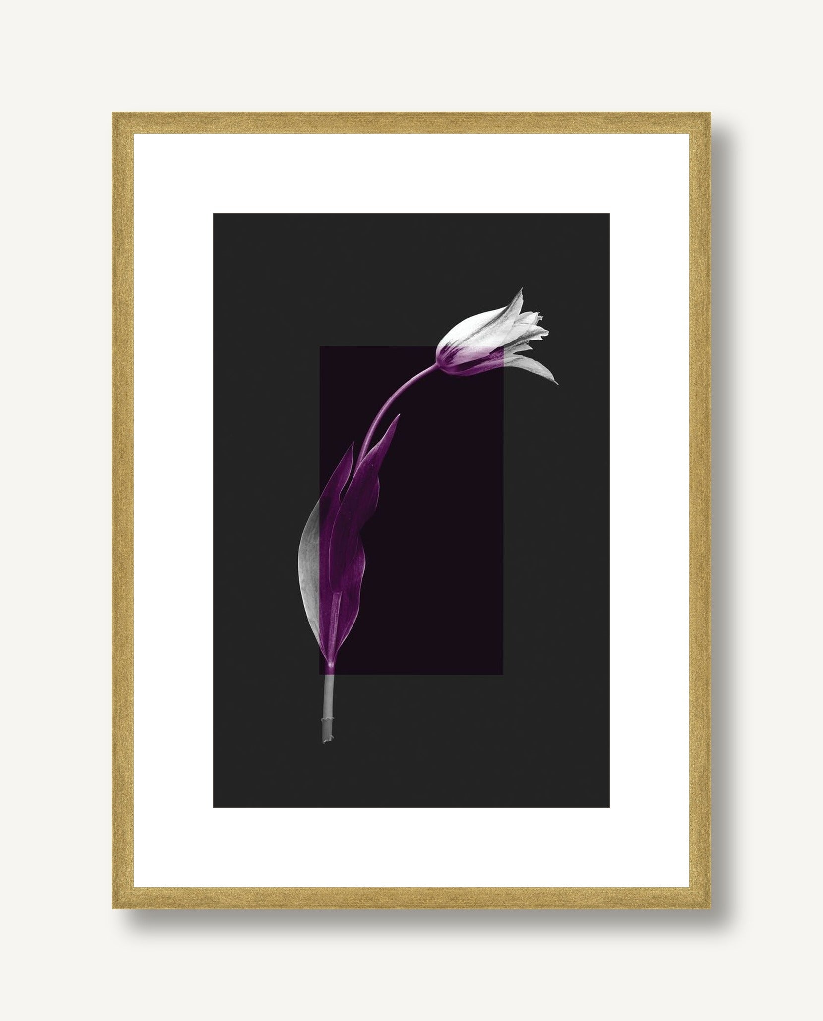 Color Burn Blossom 2 framed