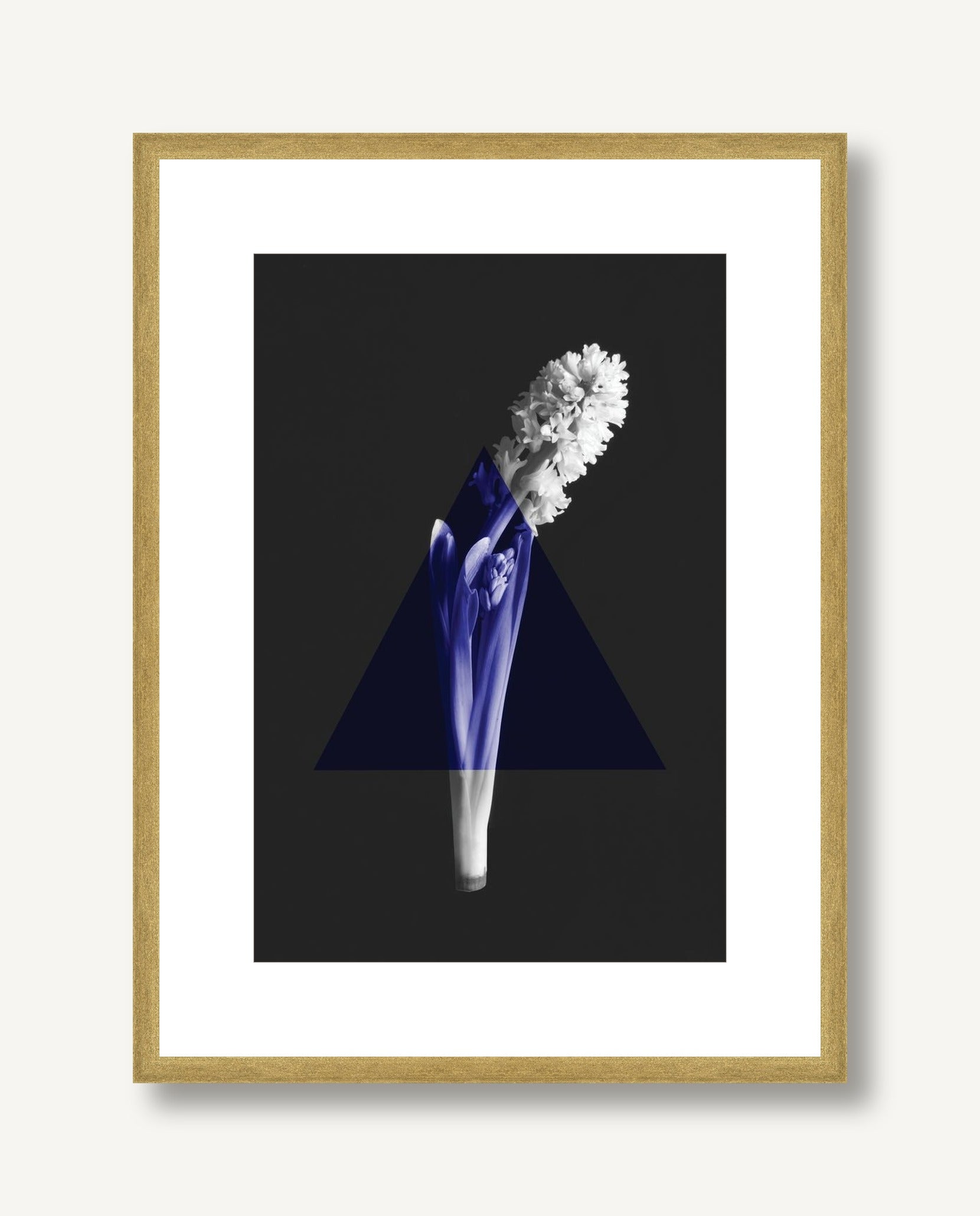 Color Burn Blossom 3 framed