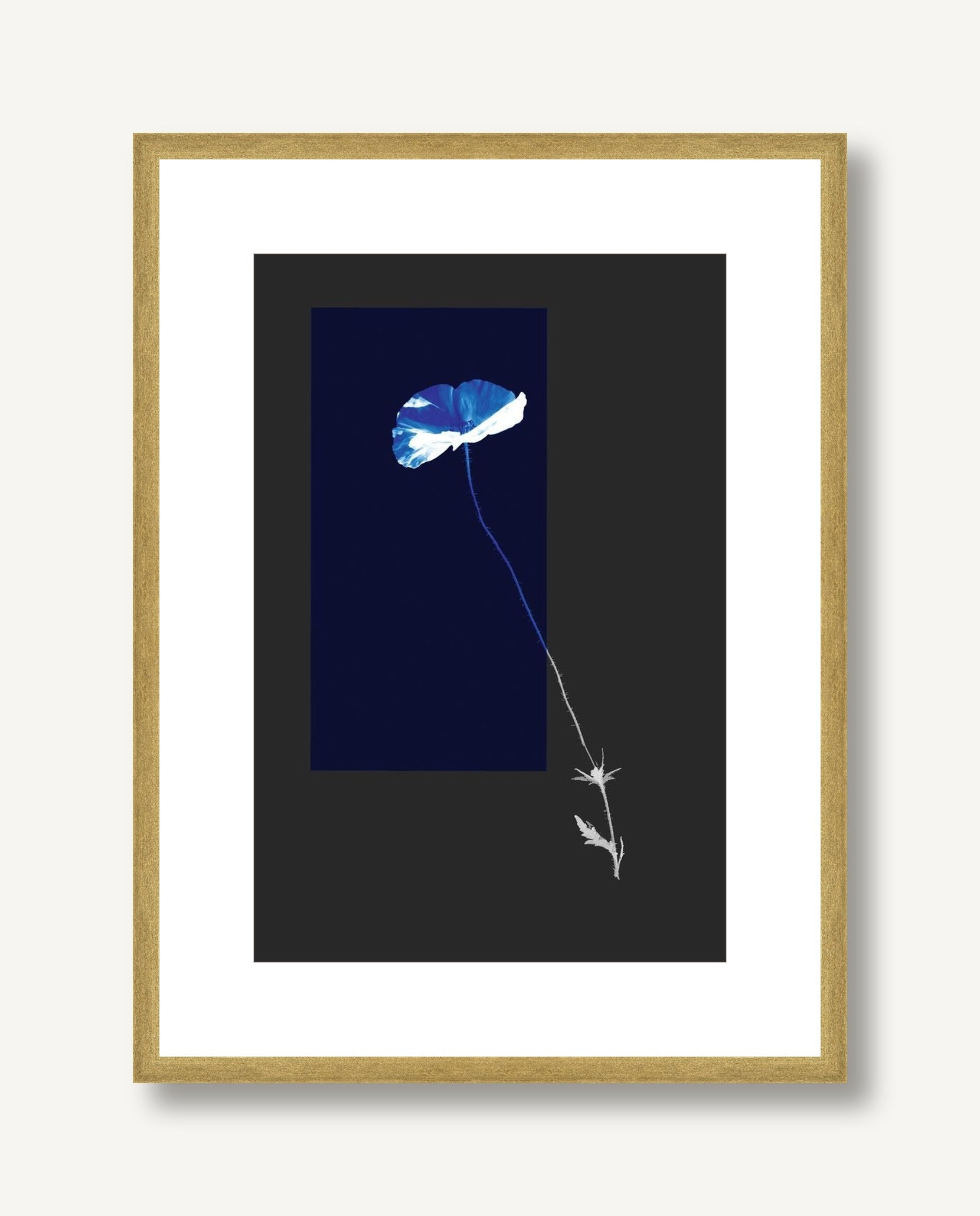 Color Burn Blossom 5 framed
