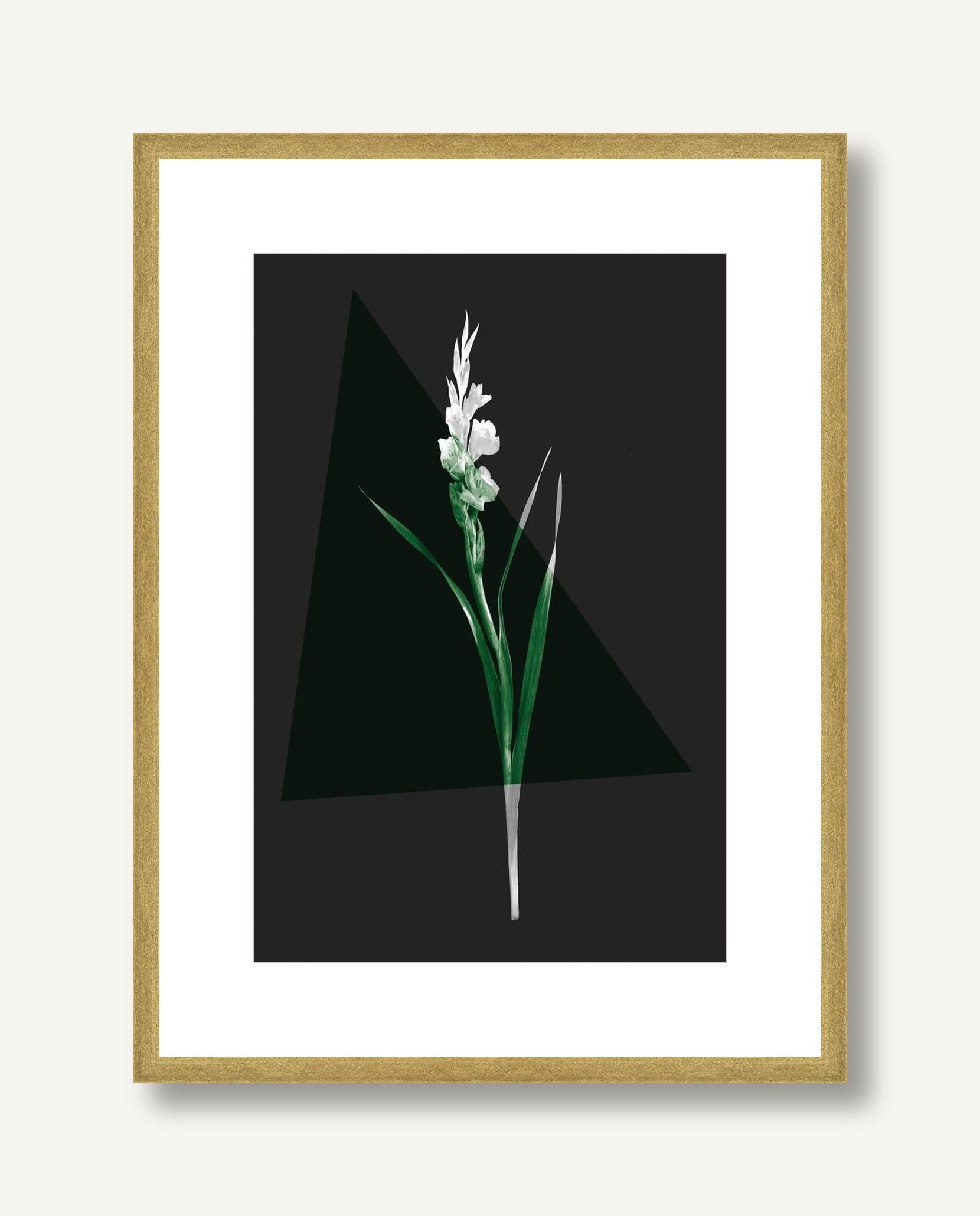 Color Burn Blossom 6 framed