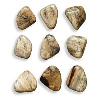 Pebbles Wood Wall Decor, Blonde, S/9