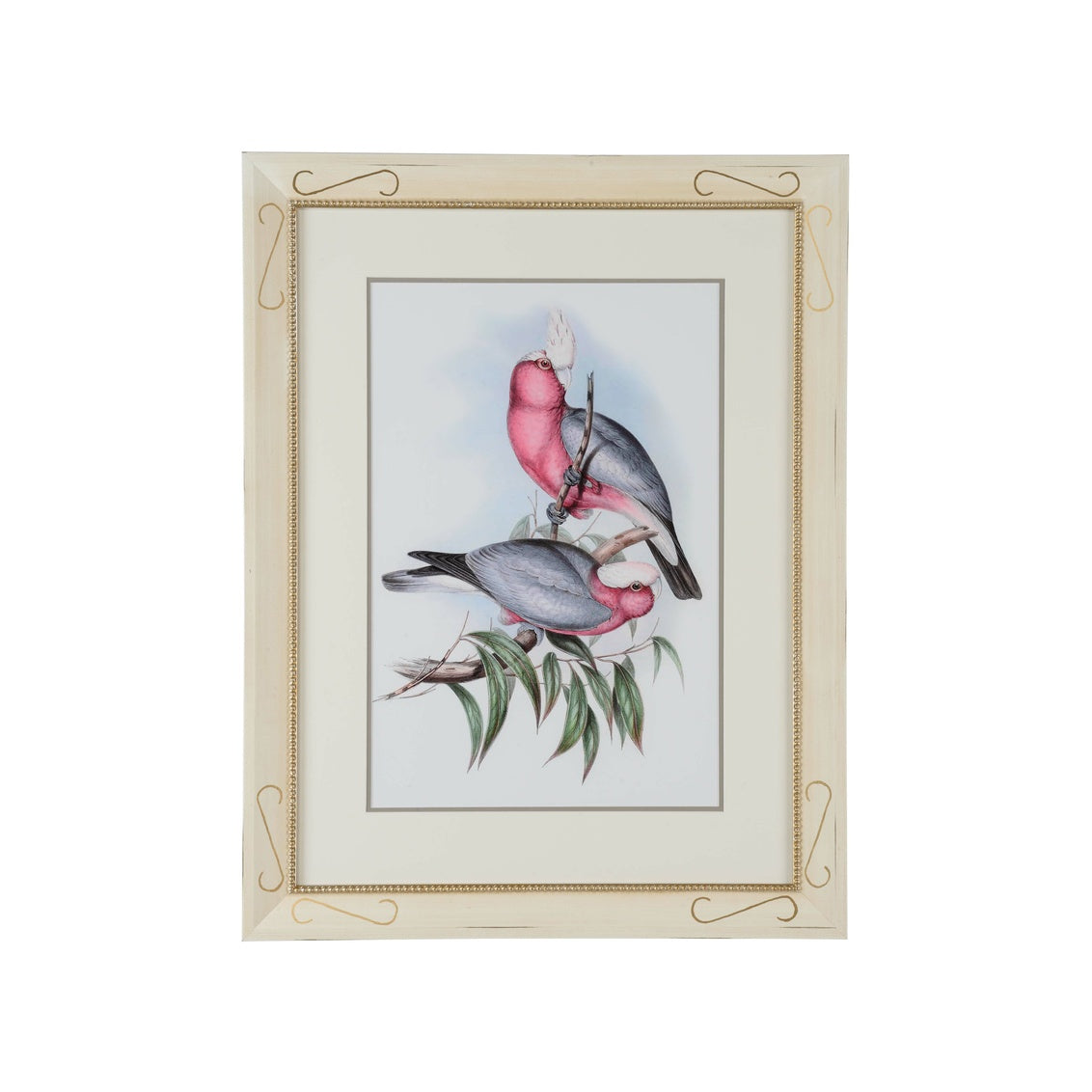 Pastel Parrots II