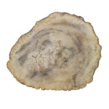 Branch Accent Table – Ambella Home