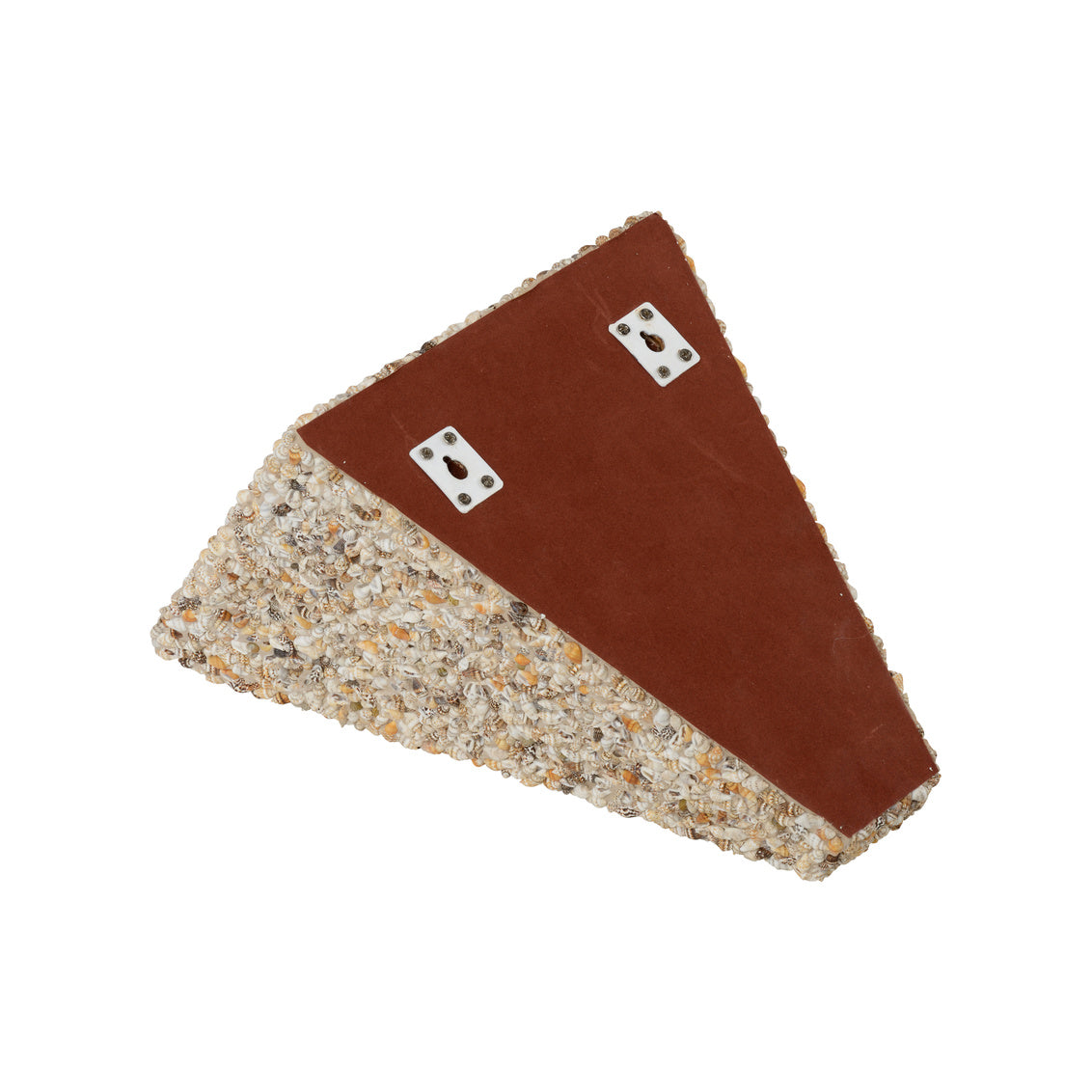 Shell Bracket - Natural in 12 / Nassa Shell - Chelsea House