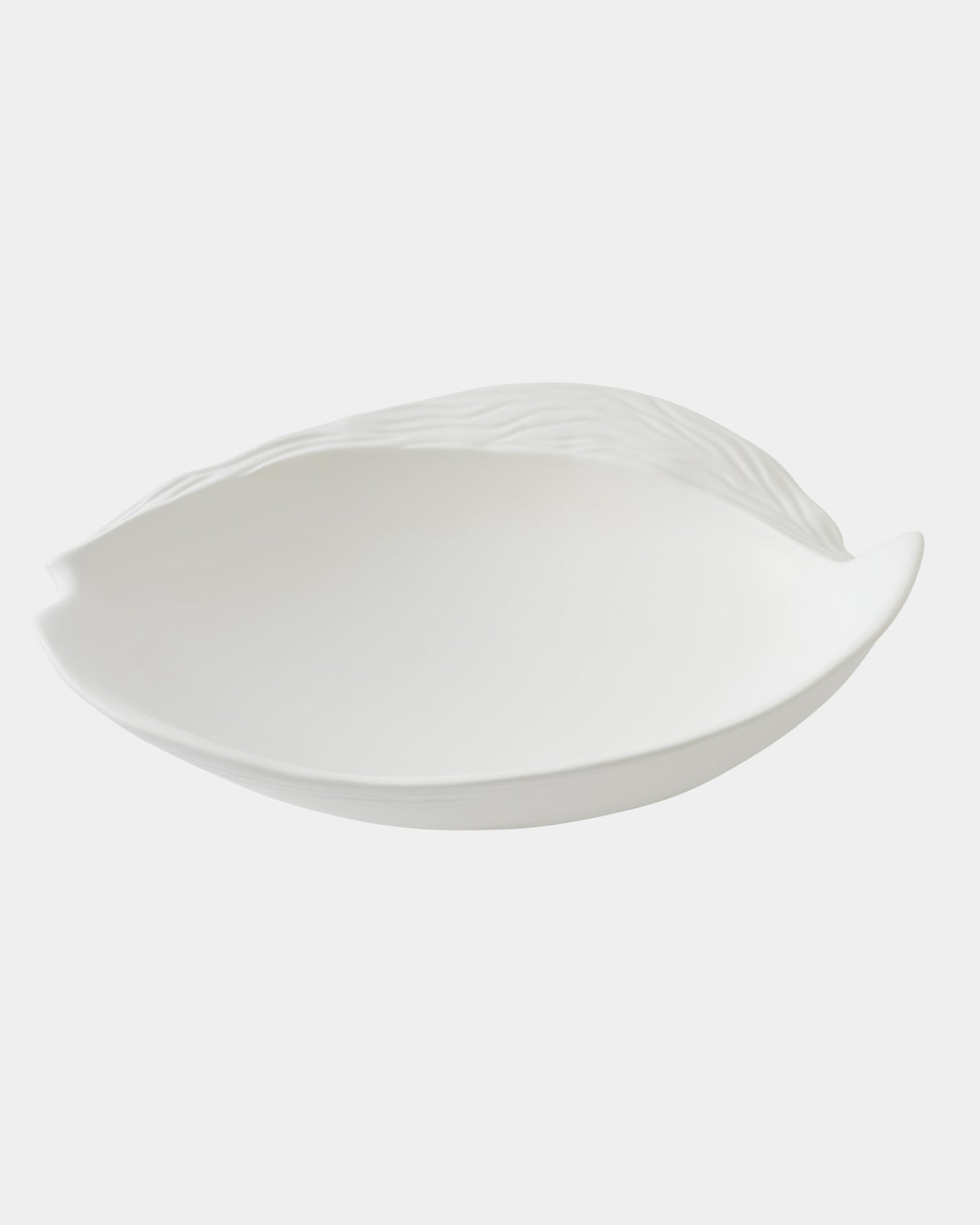Altered Whelk-White