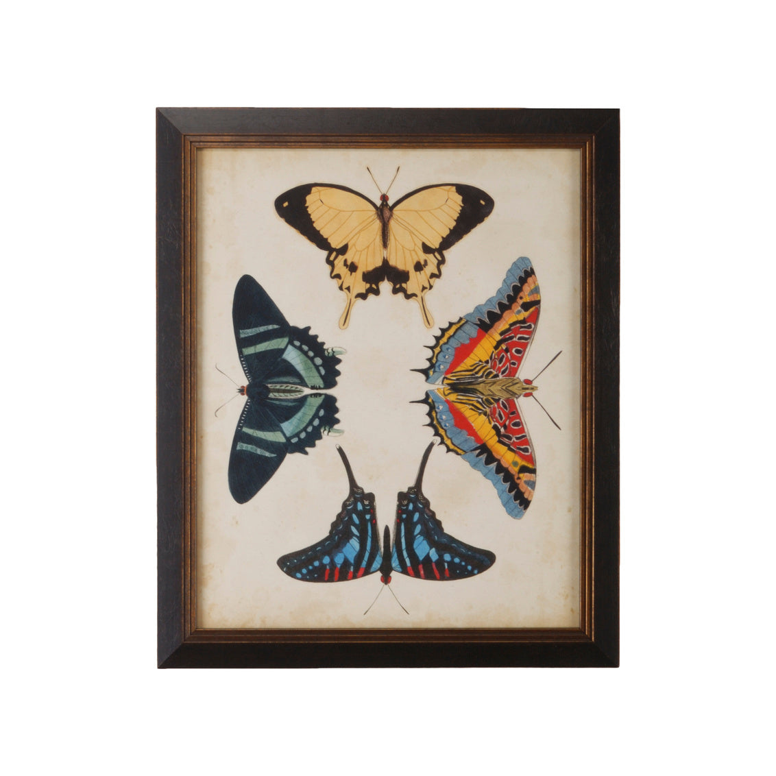 Display Of Butterflies III