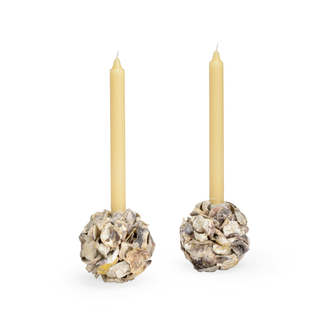 Oyster Shell Candleholder (Pr)