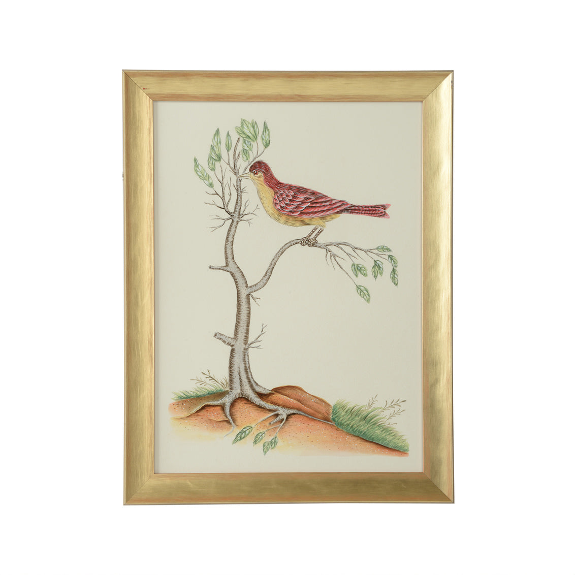 Watercolor Birds D