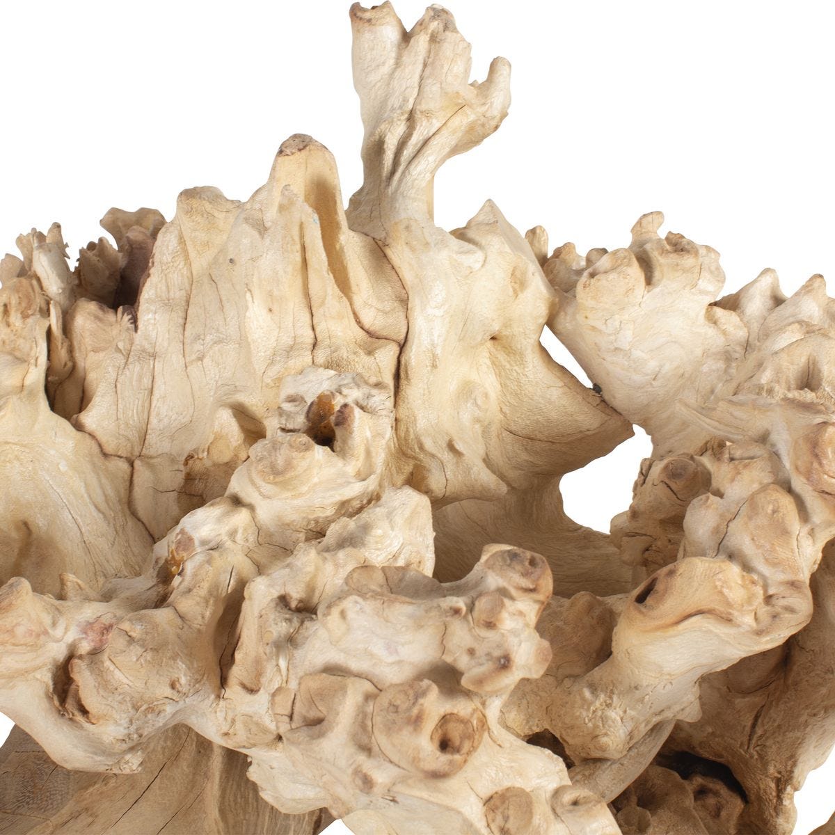 Elemental Root Indoor-Outdoor Sculptures, S/2