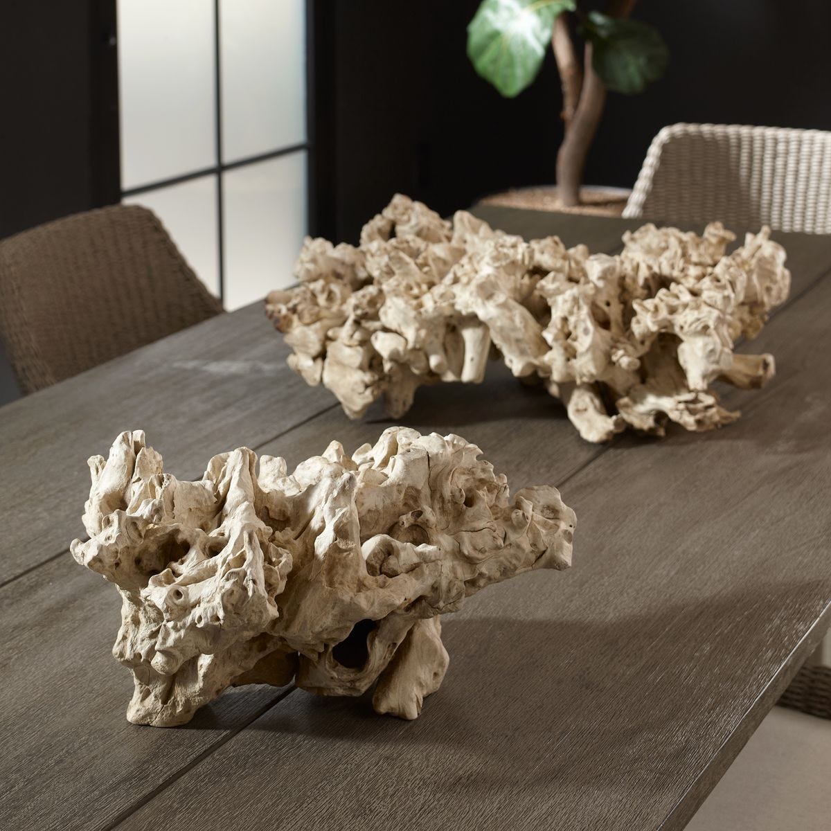 Elemental Root Indoor-Outdoor Sculptures, S/2