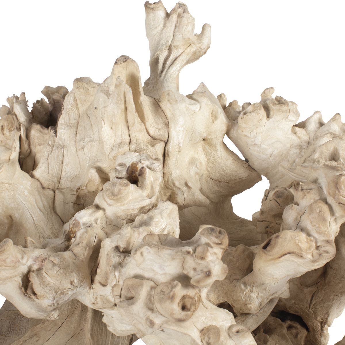 Elemental Root Indoor-Outdoor Sculptures, S/2