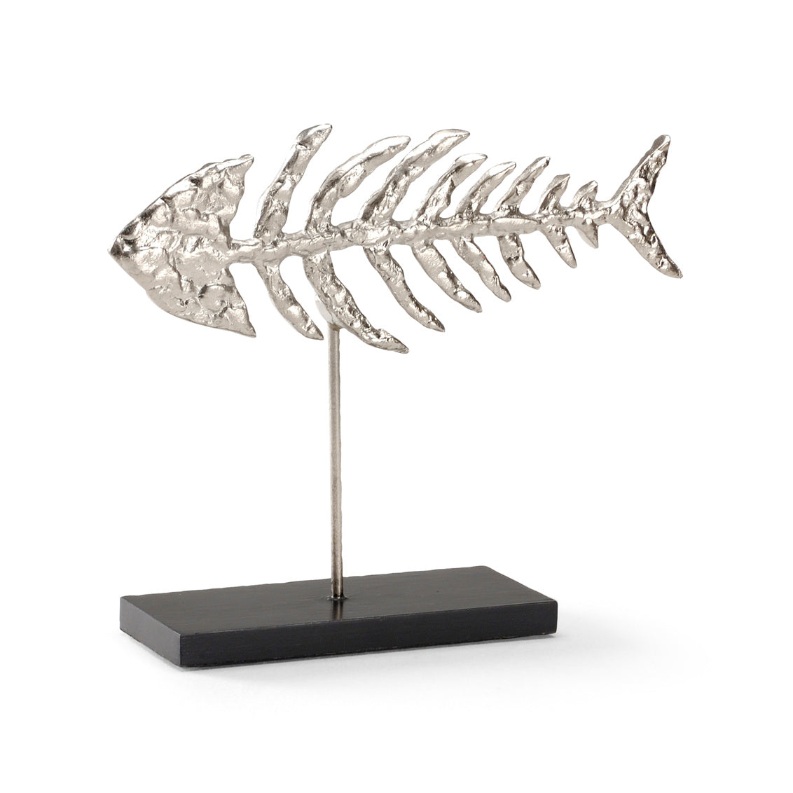 Fish Skeleton