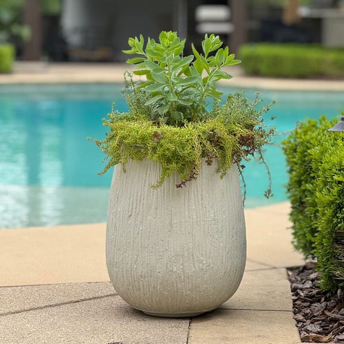 Rustic Ridge Indoor-Outdoor Planter