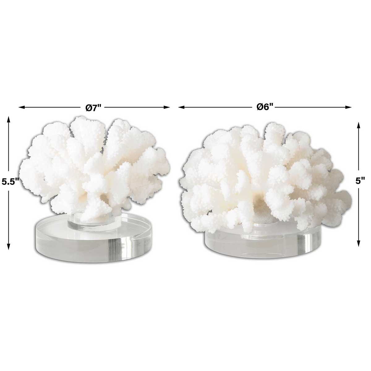 Hard Coral Sculpture, S/2