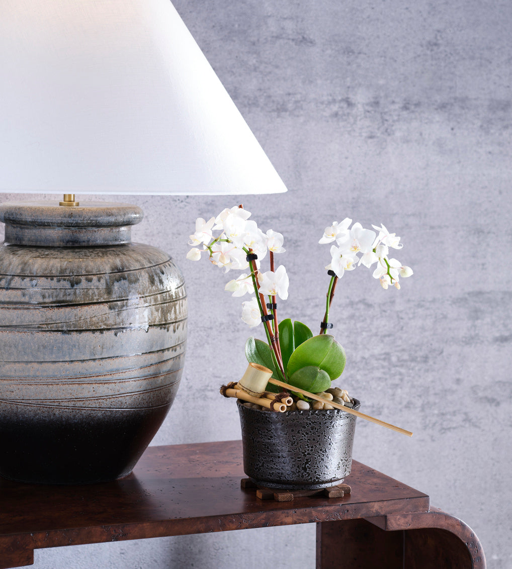 Shokubutsu Kuro Vessel