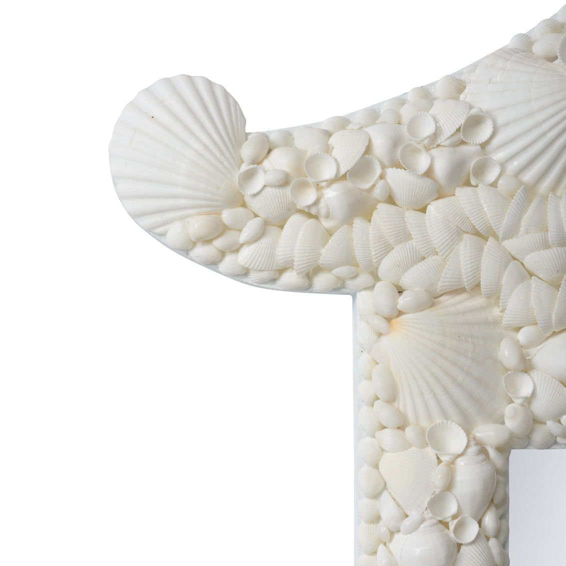 Shell Mirror in 49 / Nassa Shell - Chelsea House