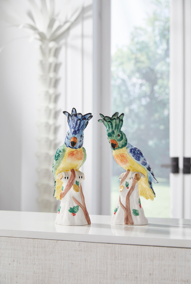 Hope Parrots (Pr)
